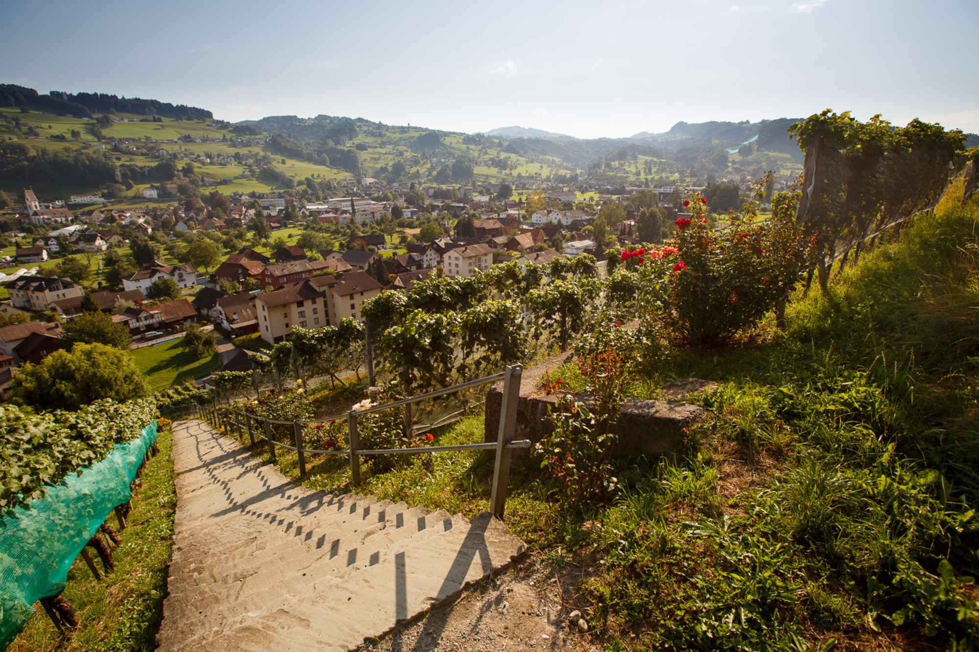Rebkulturweg