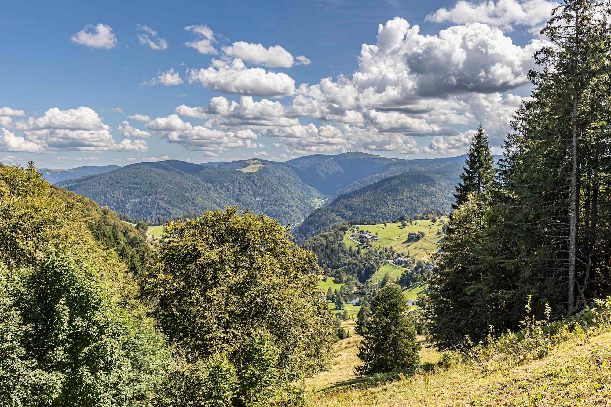 Ausblick vom Schauinsland