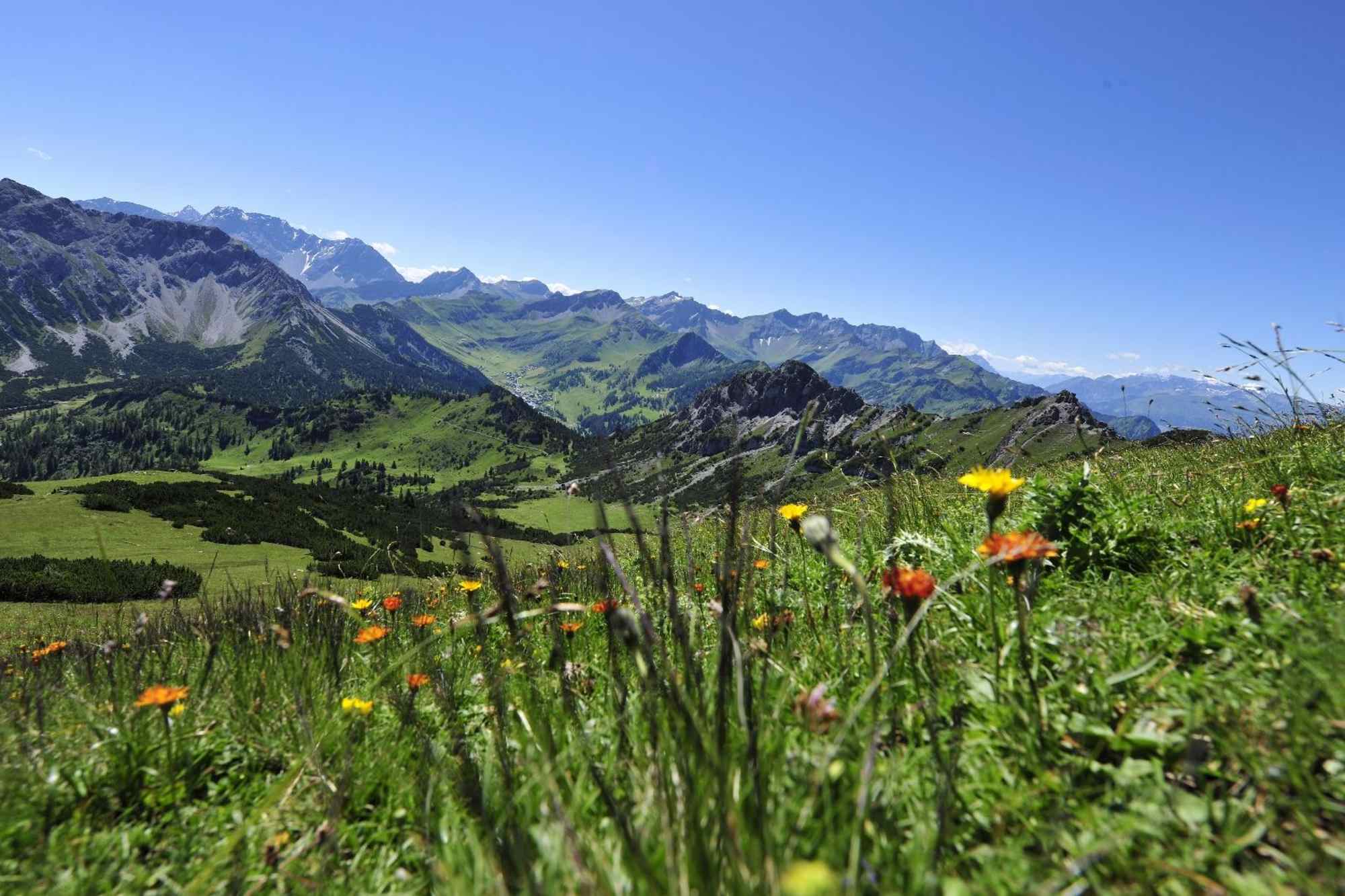 Blick vom Schönberg