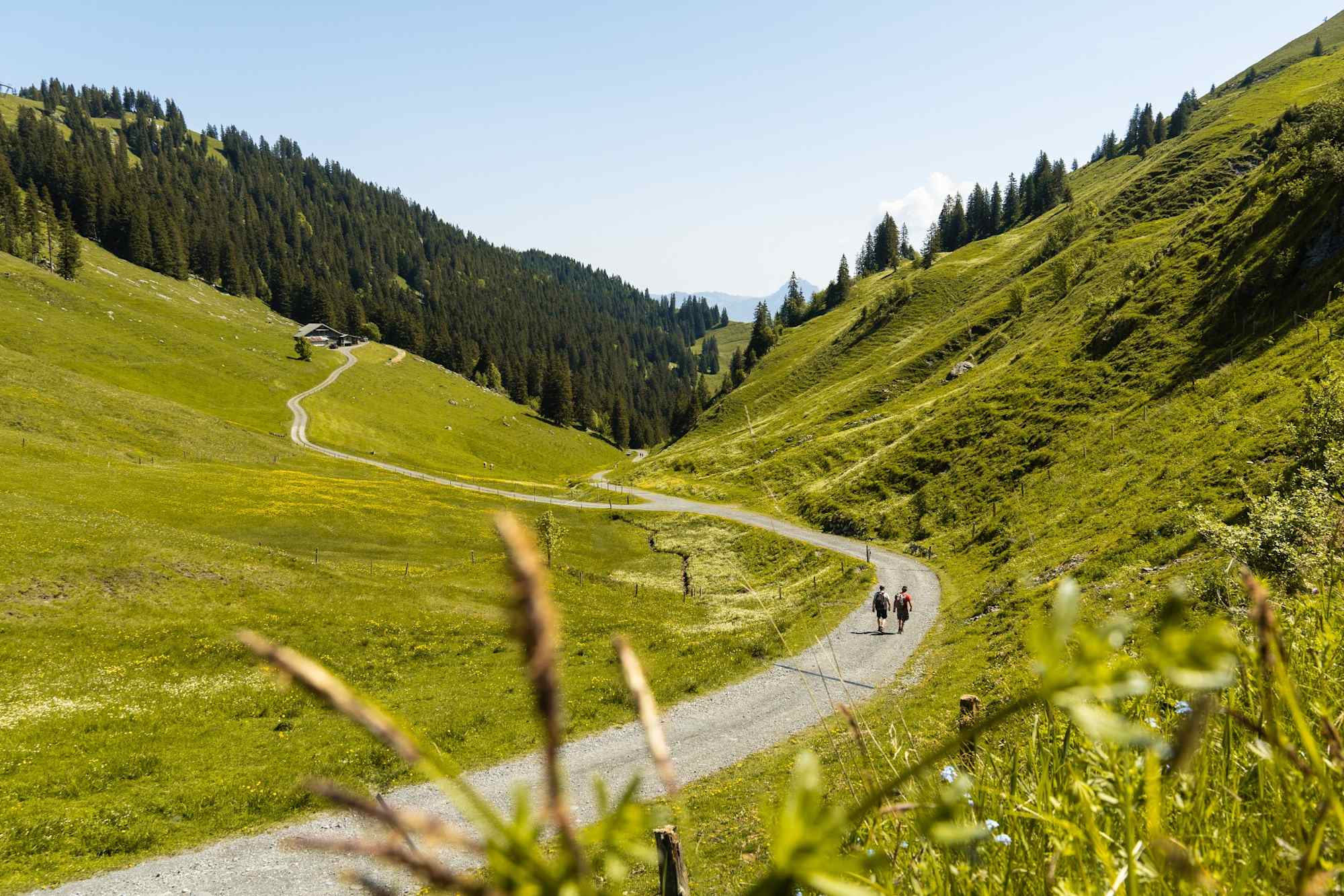 Wanderer auf dem Weg von der Klewenalp in Richtung Stockhütte.