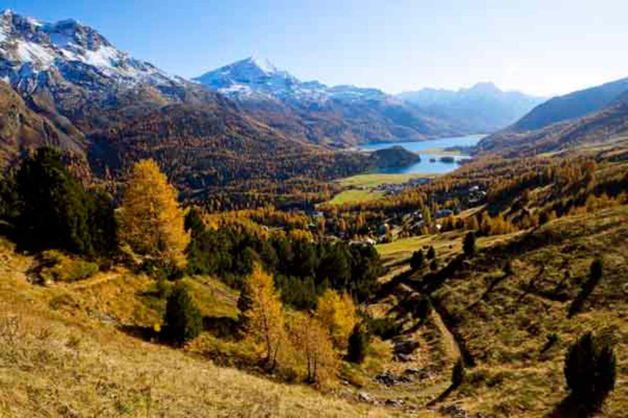 Oberhalb von St. Moritz