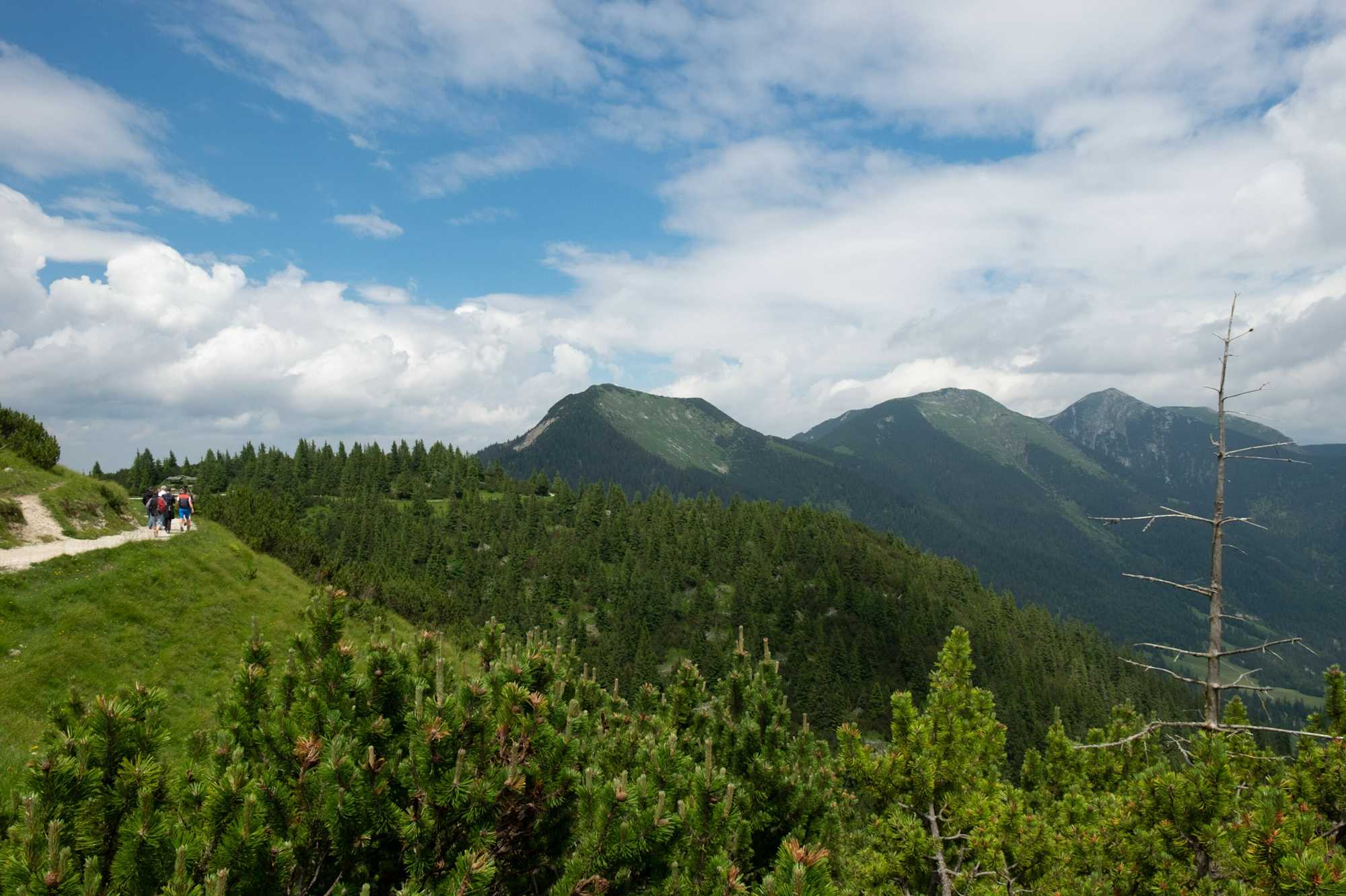 Schöne Aussicht auf das Estergebirge