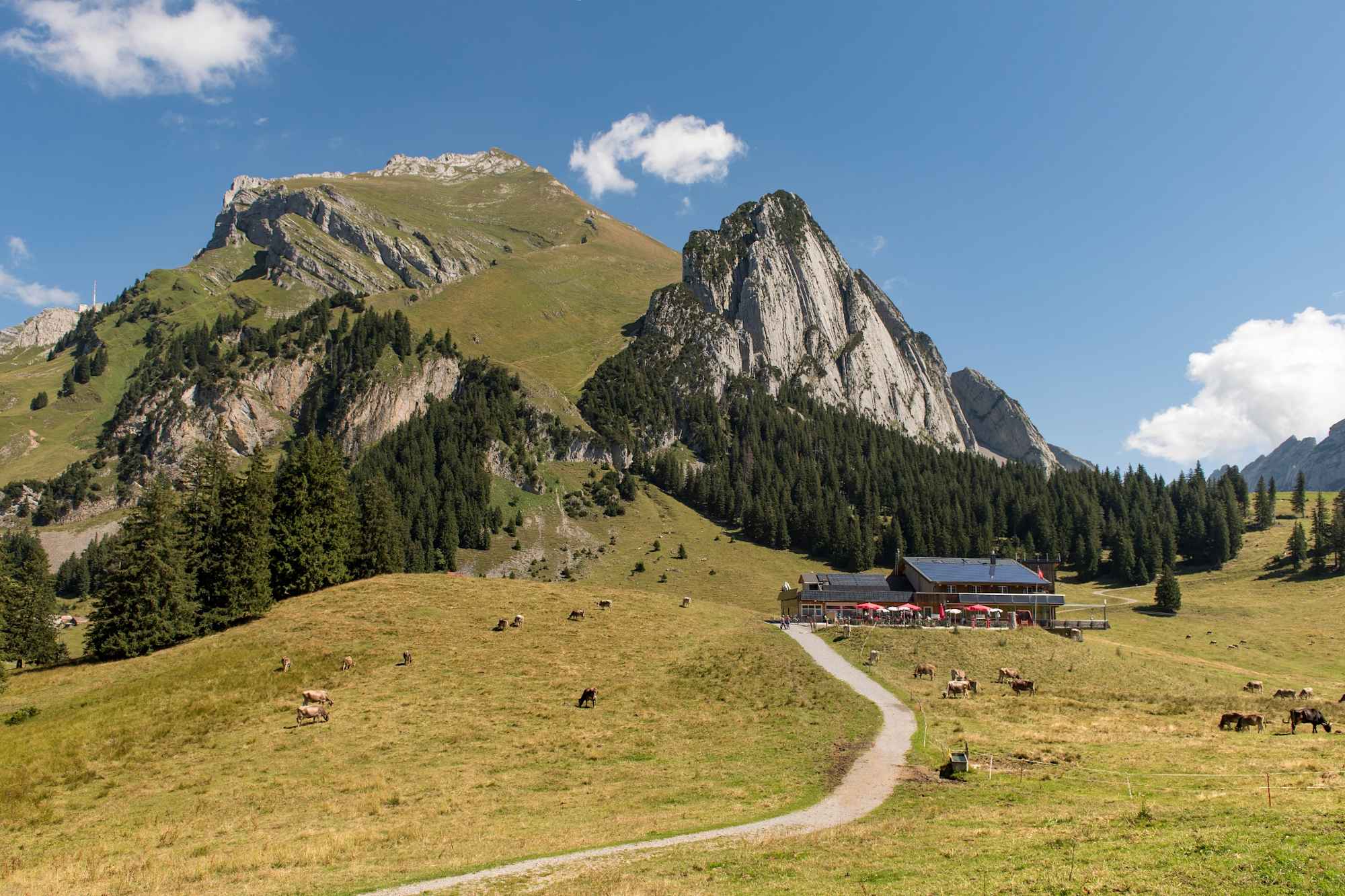 Bergrestaurant Gamplüt