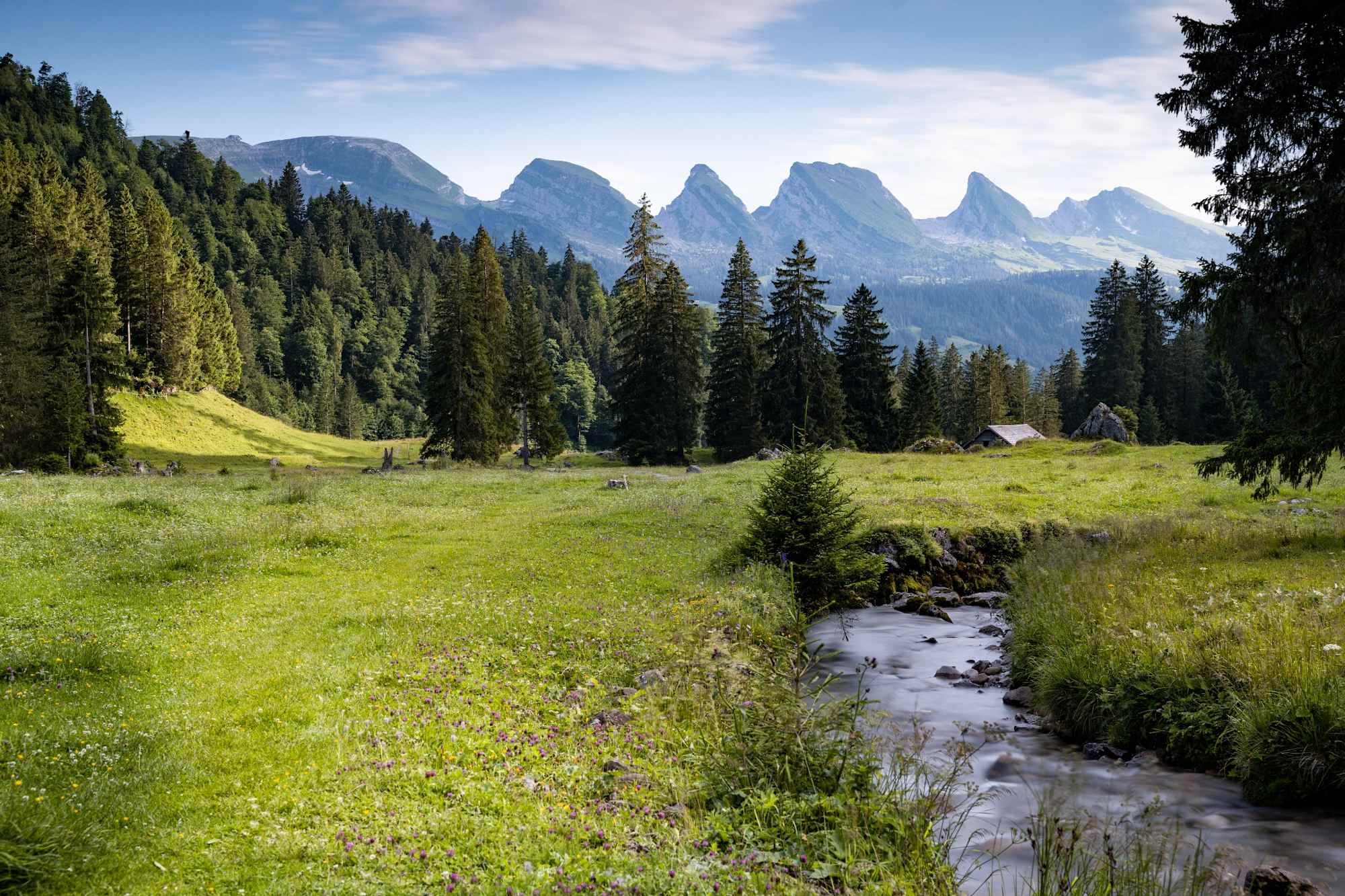 Weg des Wassers