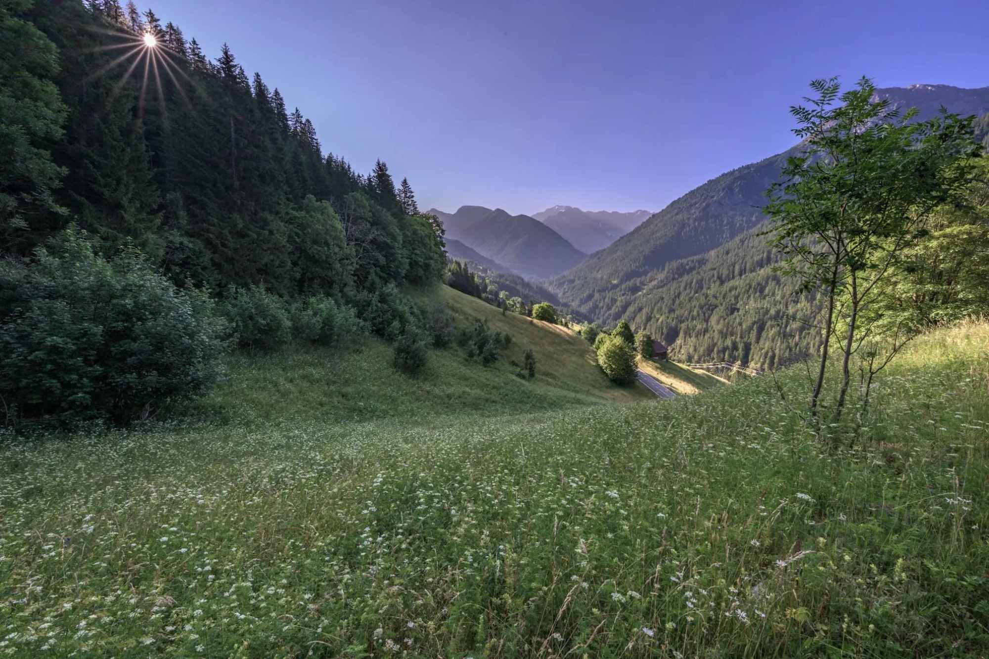 Auf der Weilerrunde Bschlabs