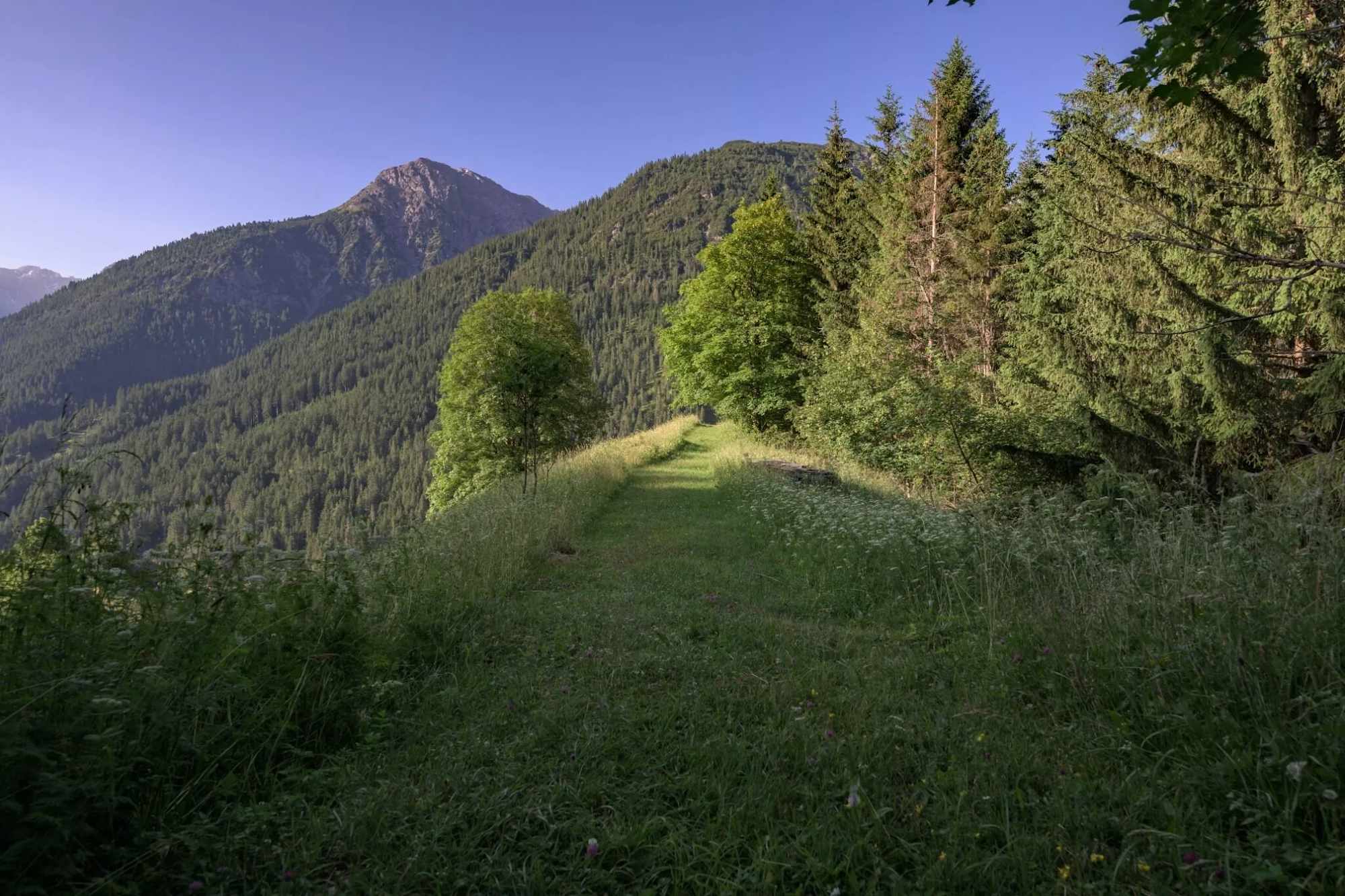 Auf der Weilerrunde Bschlabs