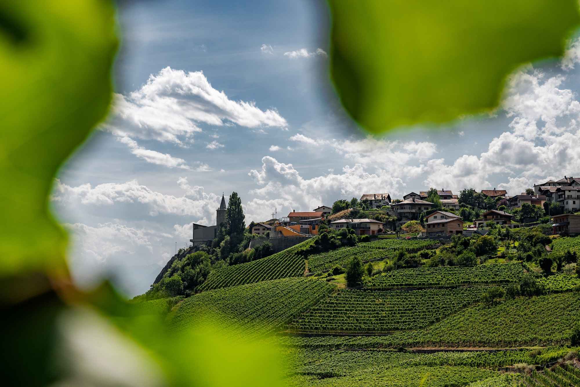 Blick auf das Weindorf Varen