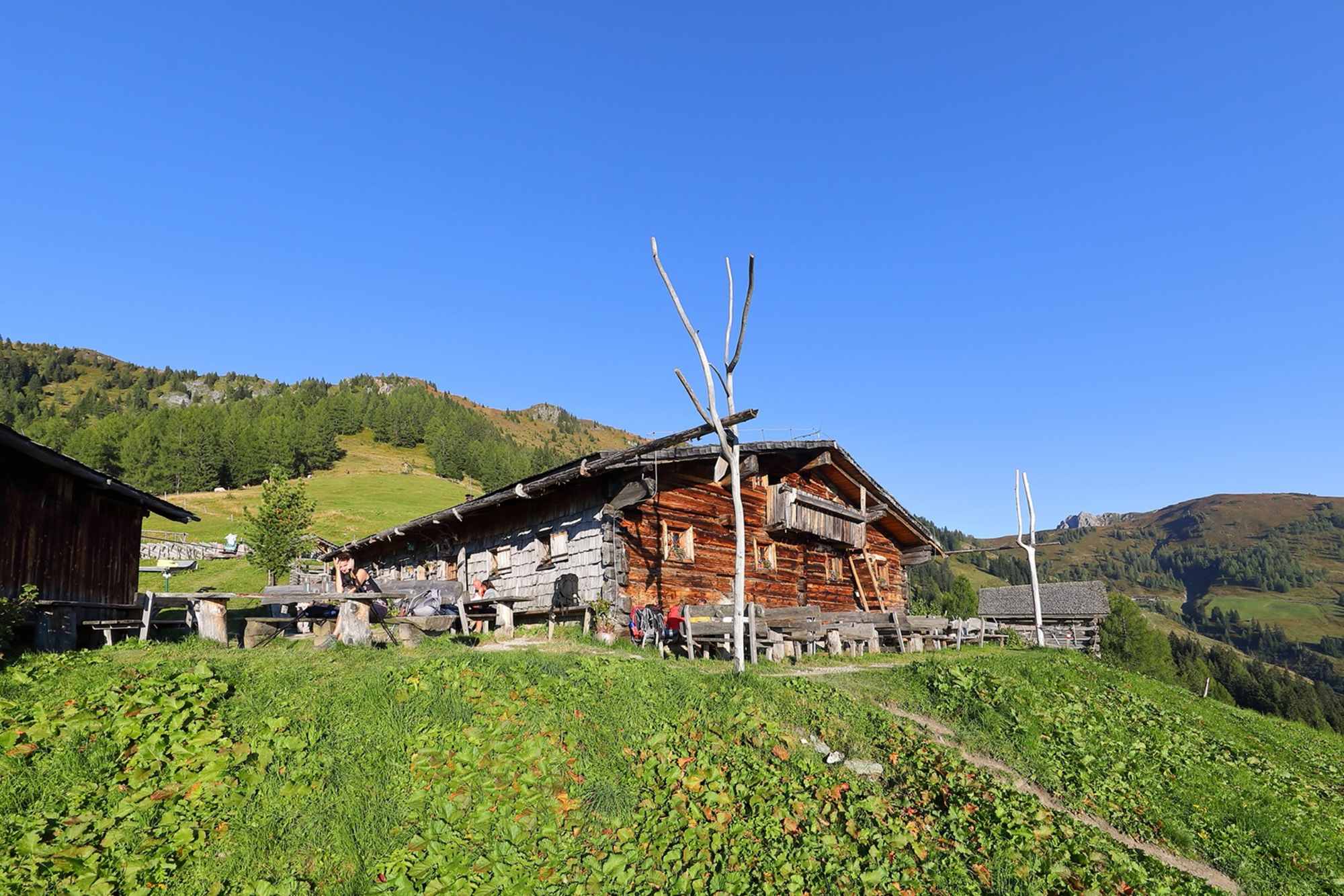 Weißalm, 1.724 m