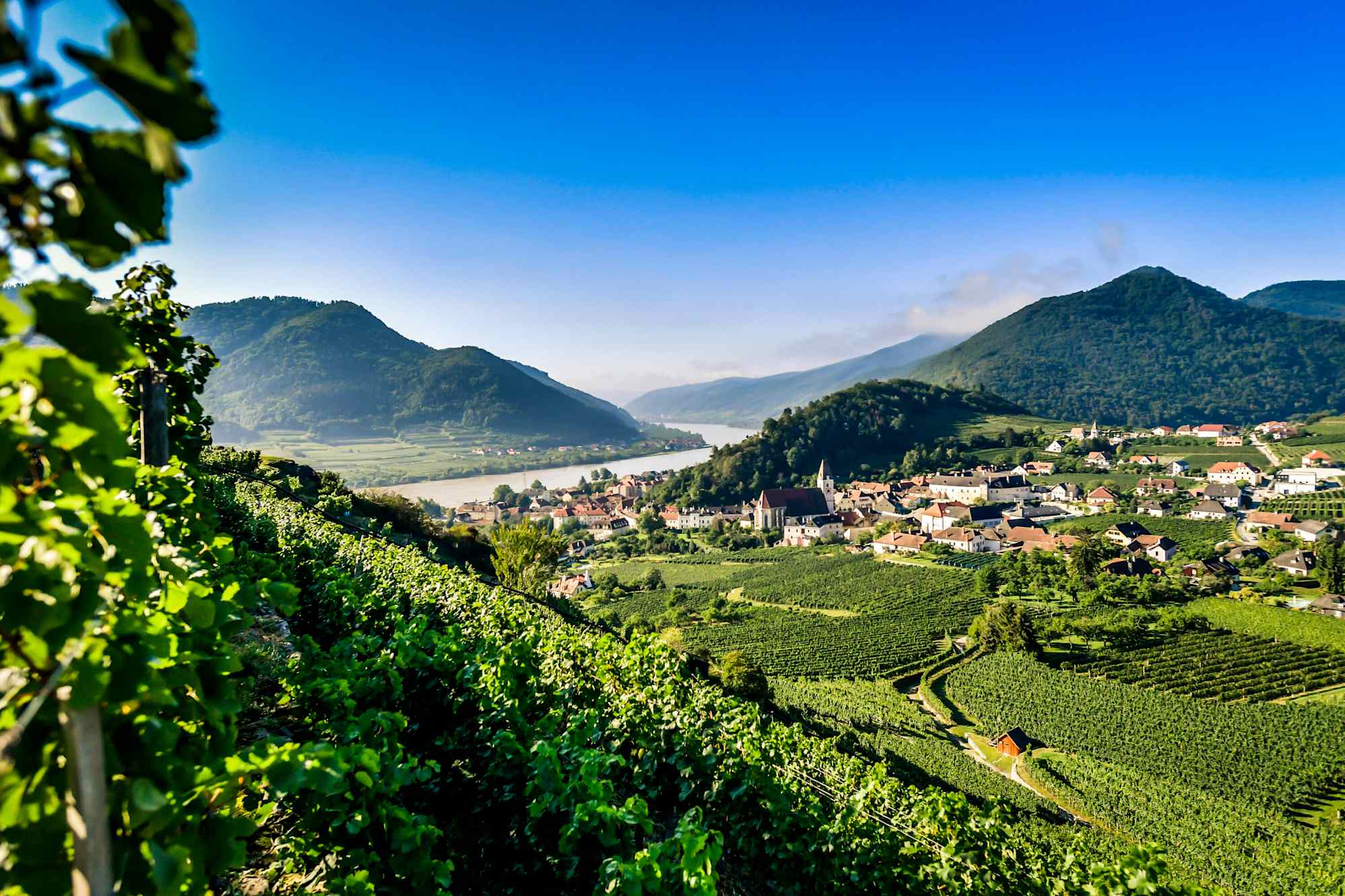 Welterbesteig Etappe 4: Spitz