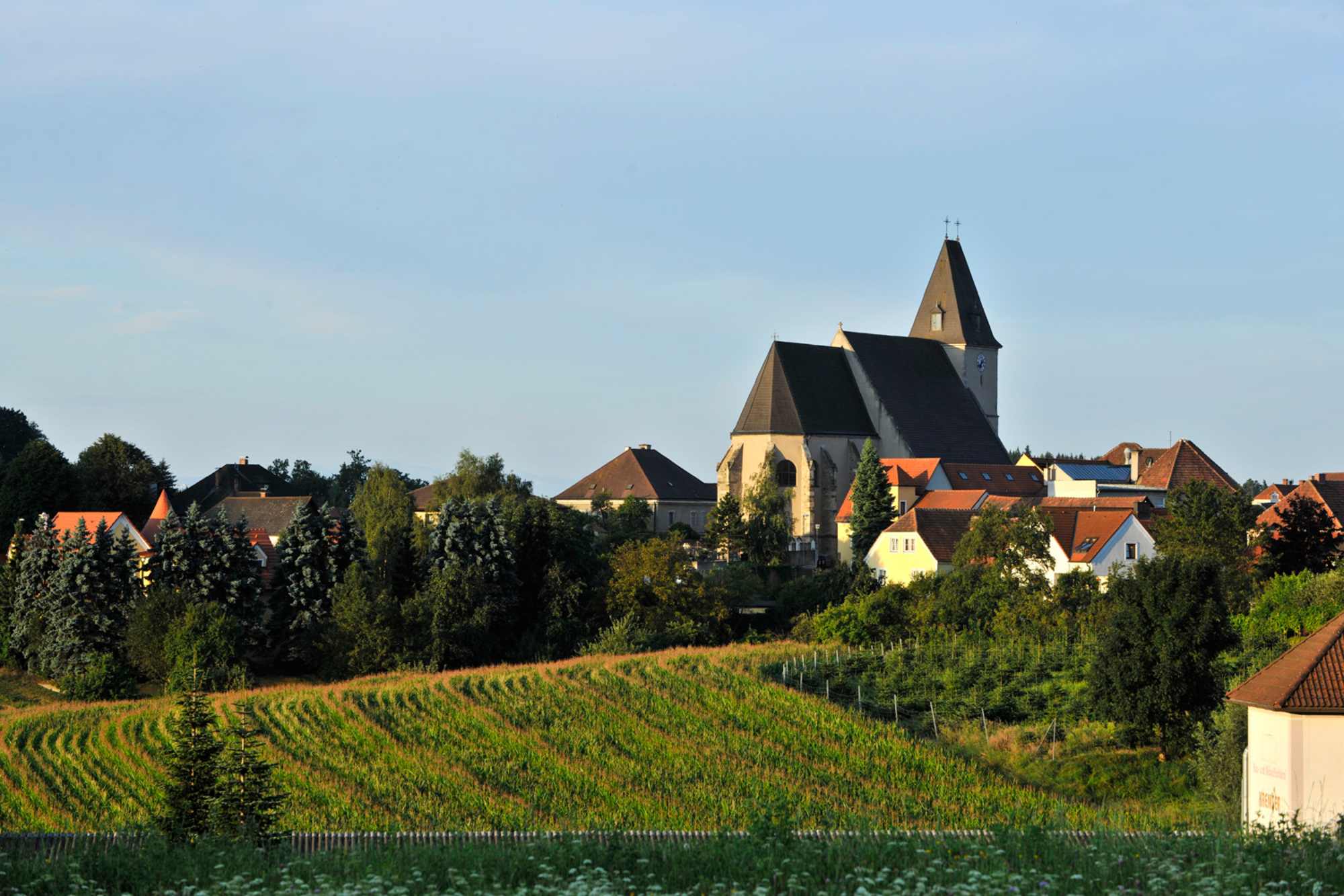 Welterbesteig Wachau - Etappe 6: Maria Laach