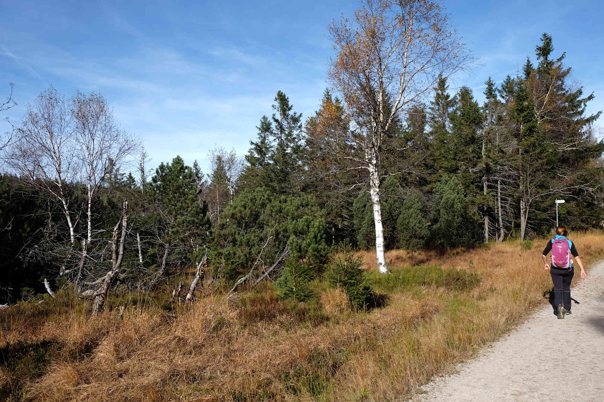 Unterwegs am Ruhestein