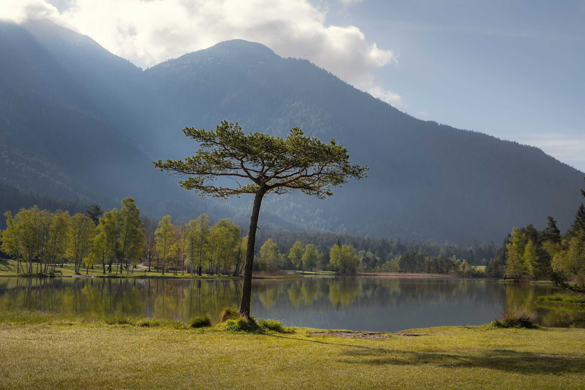 Wildsee im Frühling bei Morgenstimmung
