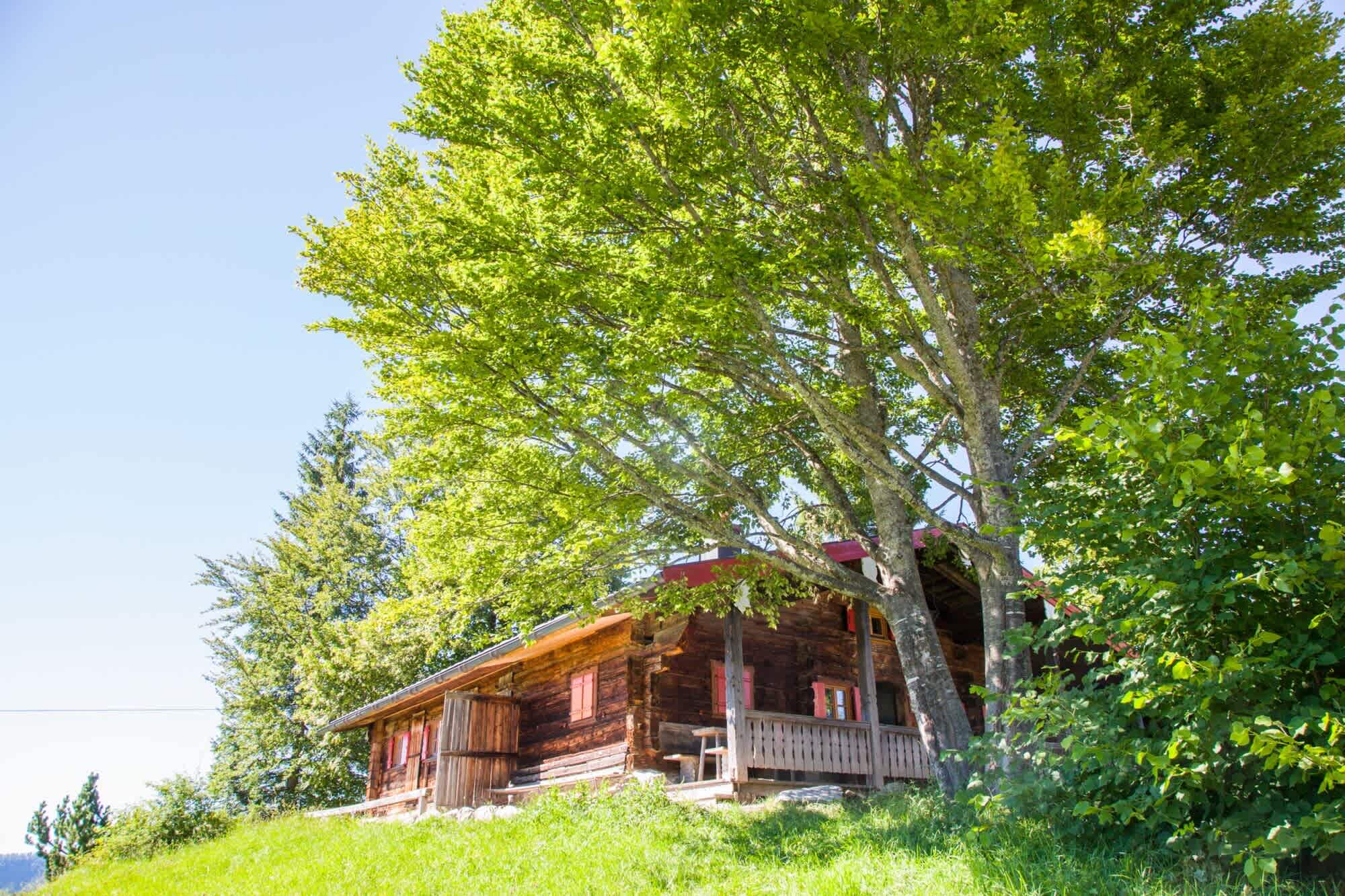 Die Winkelmoosalm-Hütte steht, wie auch die Winklmooshütte, auf der Winkelmoosalm, idyllisch in den Chiemgauer Bergen an der deutsch-österreichischen Grenze in Bayern. 