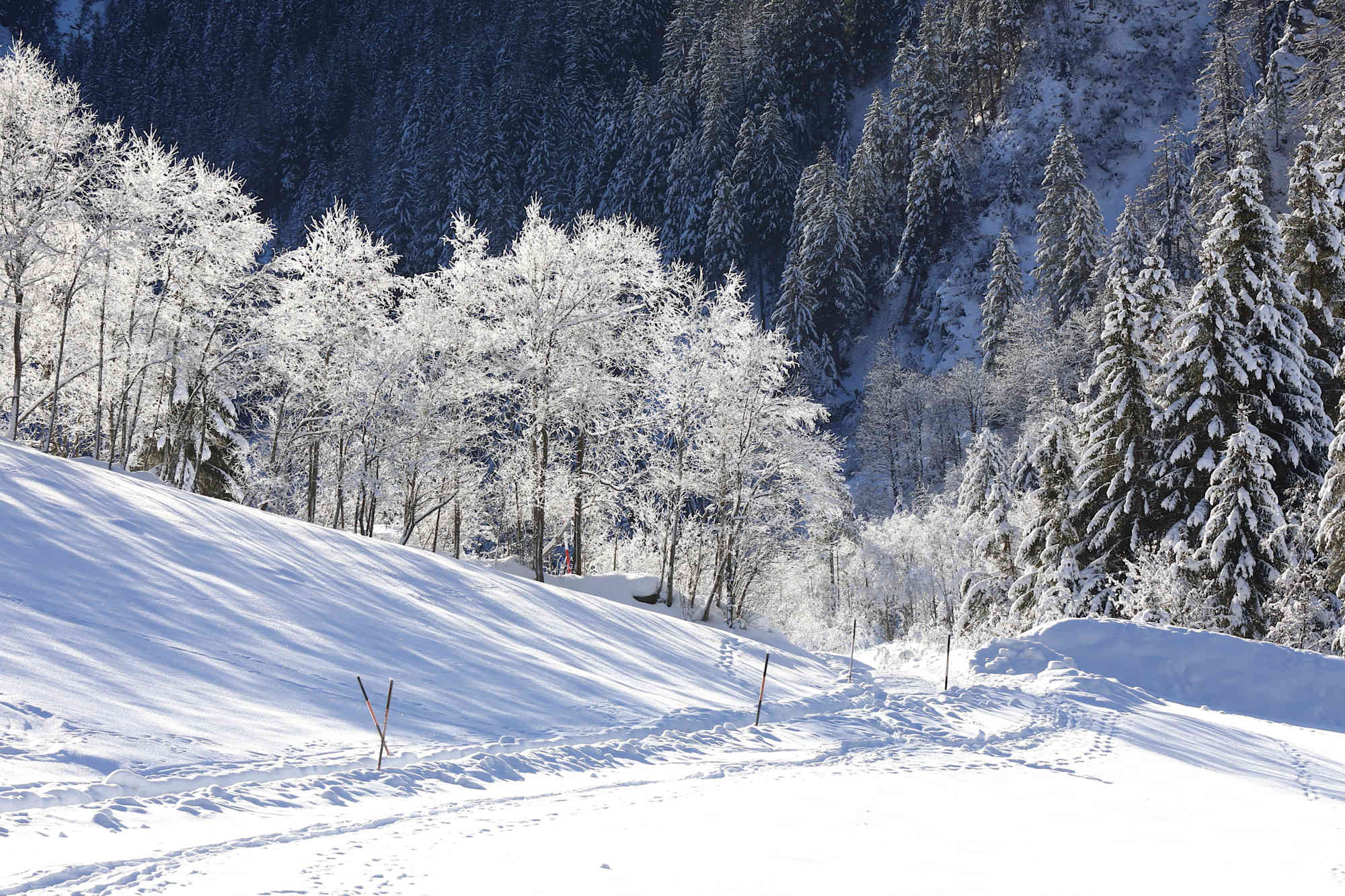 Winterwanderung in den Talschluss bei Hüttschlag im Großarltal