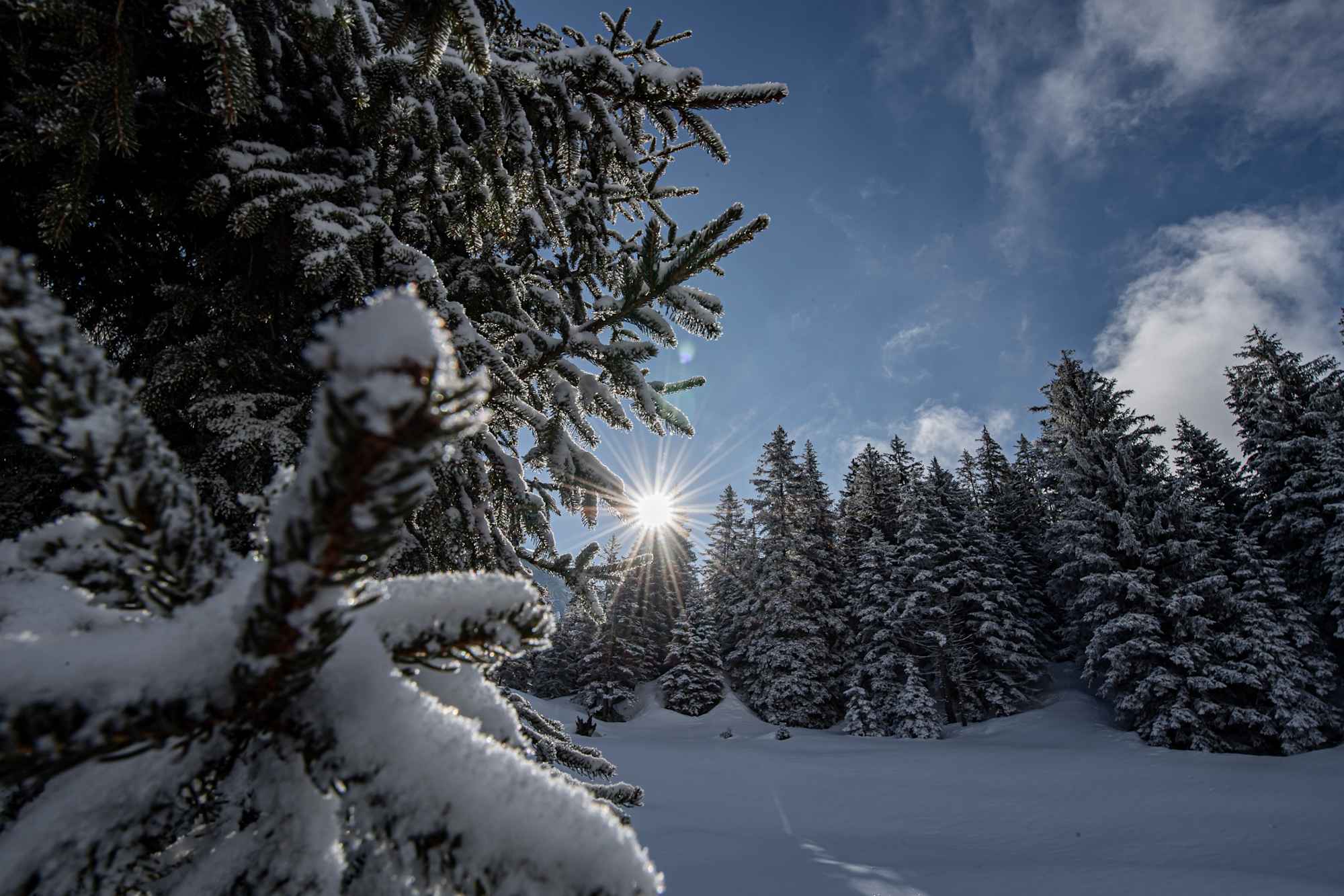 Wunderschöne Winterlandschaft