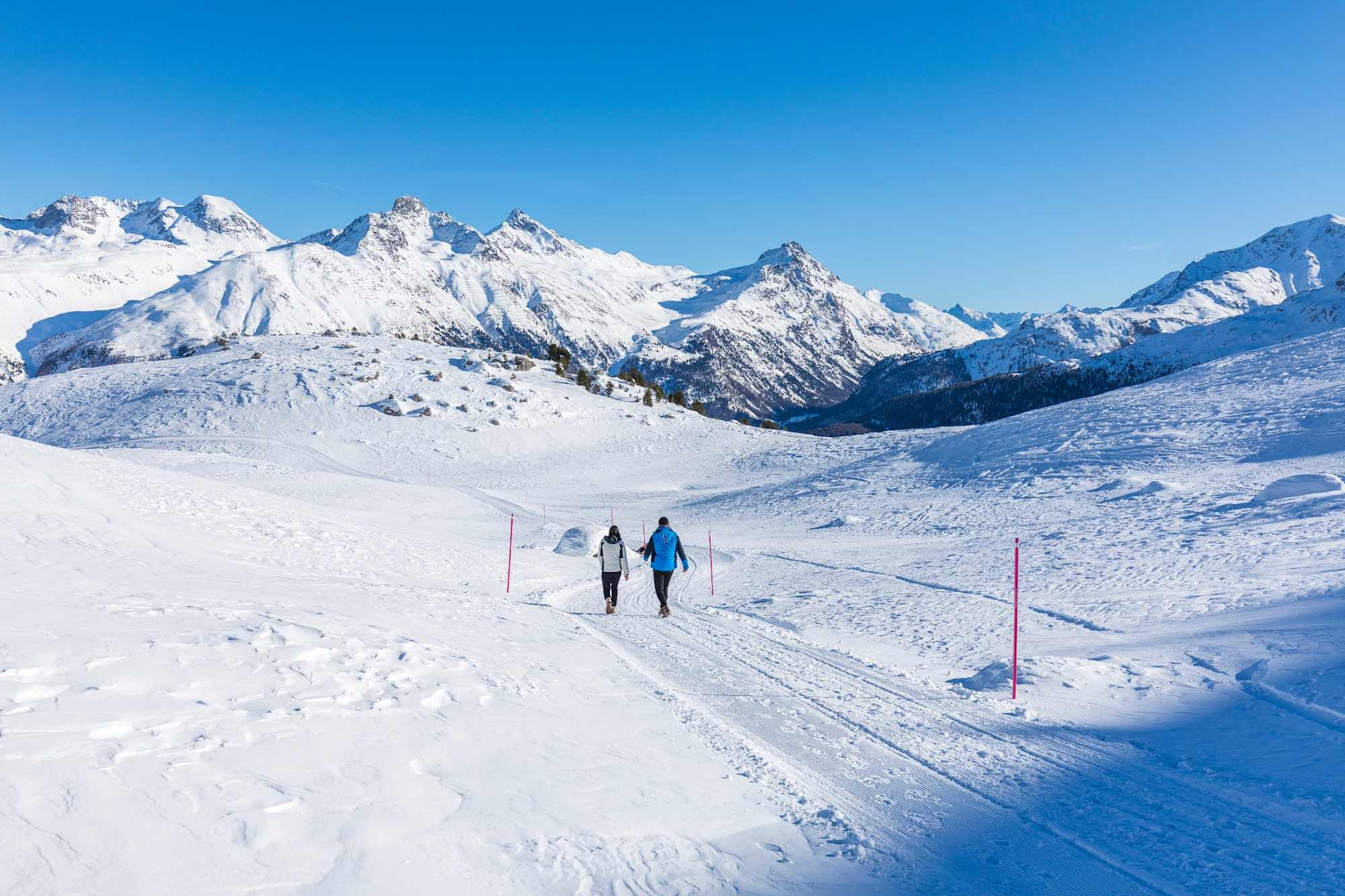 Schöner Weitblick am Winterwanderweg Corviglia - Marguns