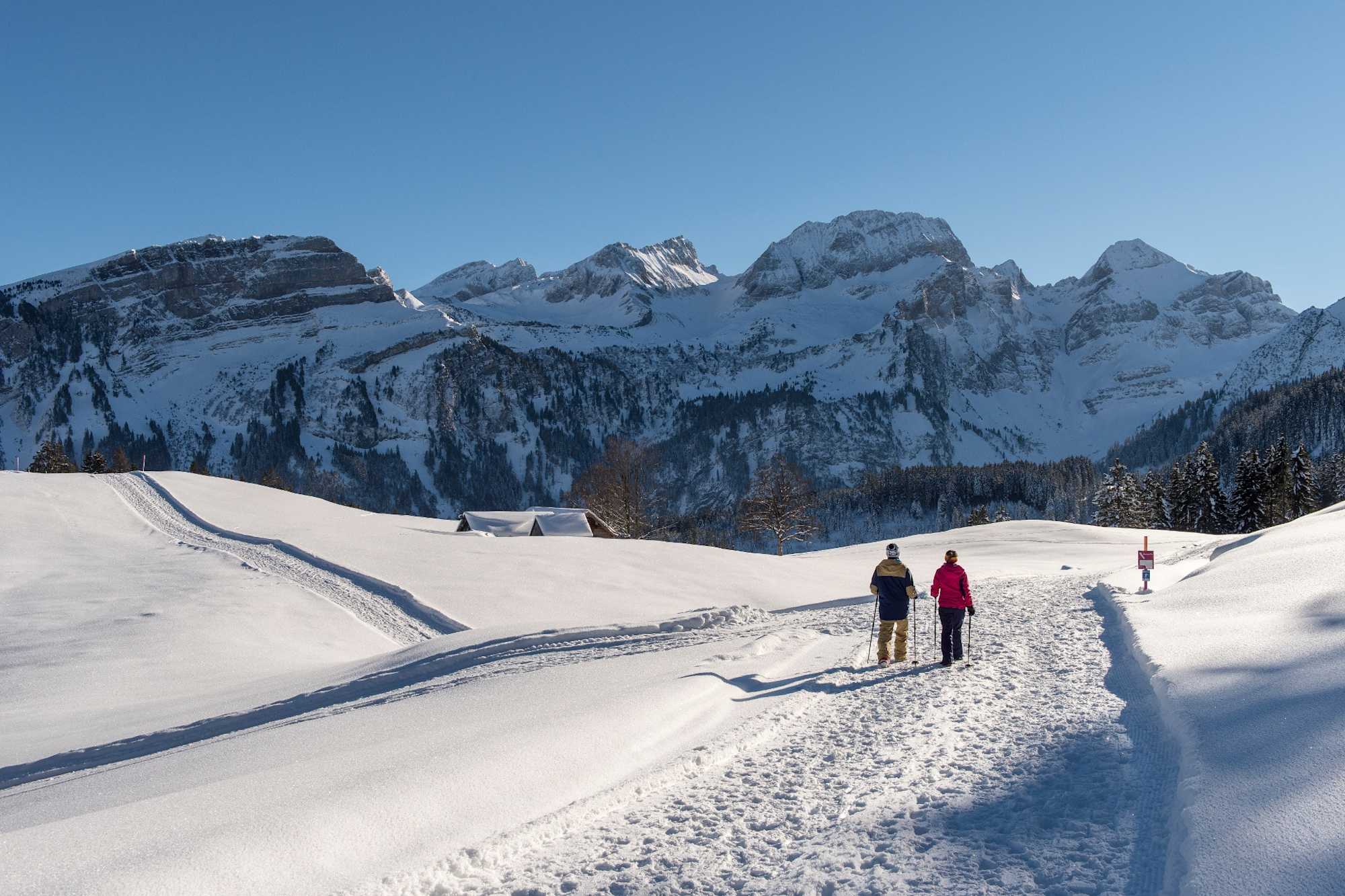 Winterwanderung zum Gamperfirn