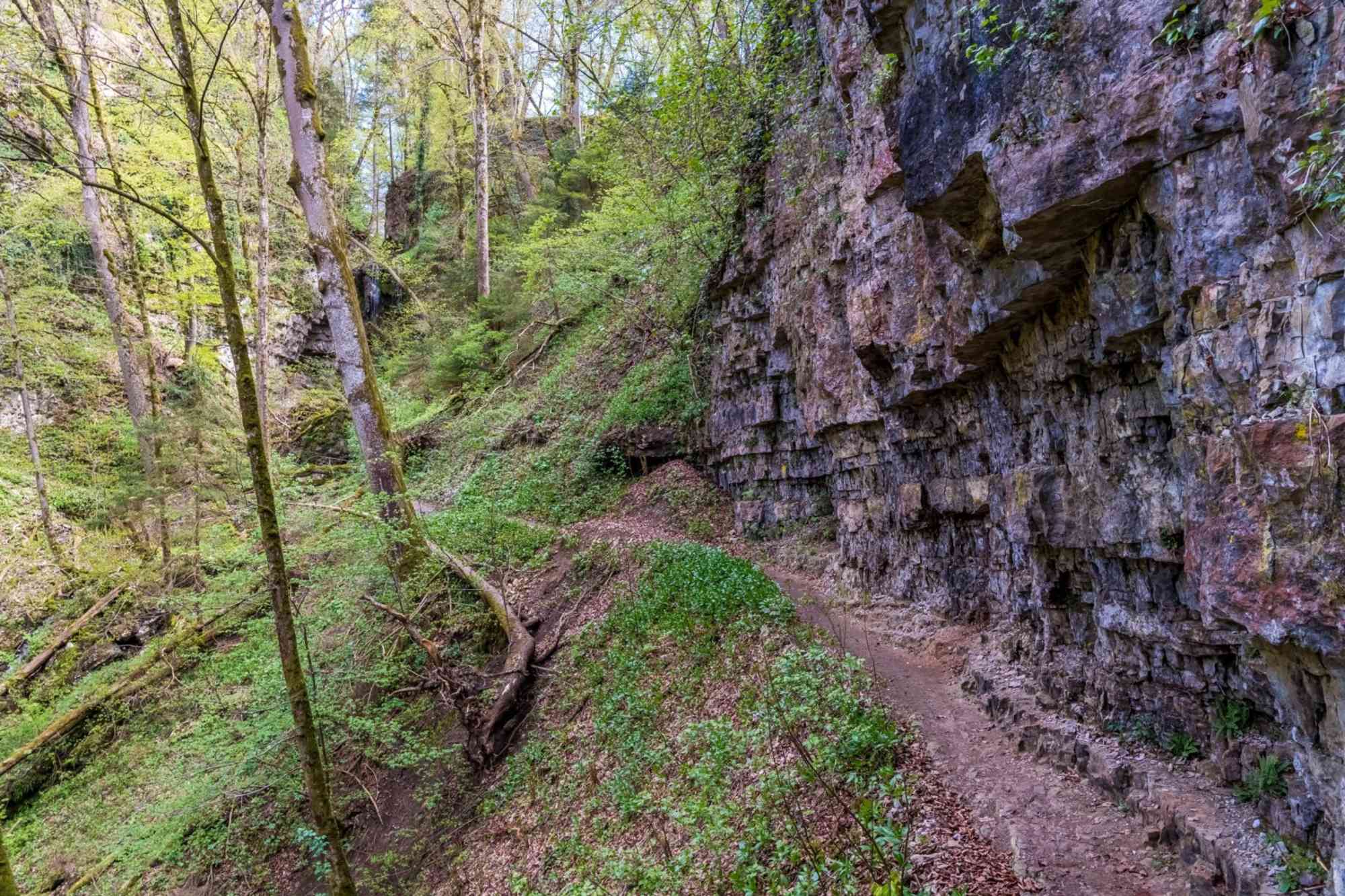Schluchtensteig