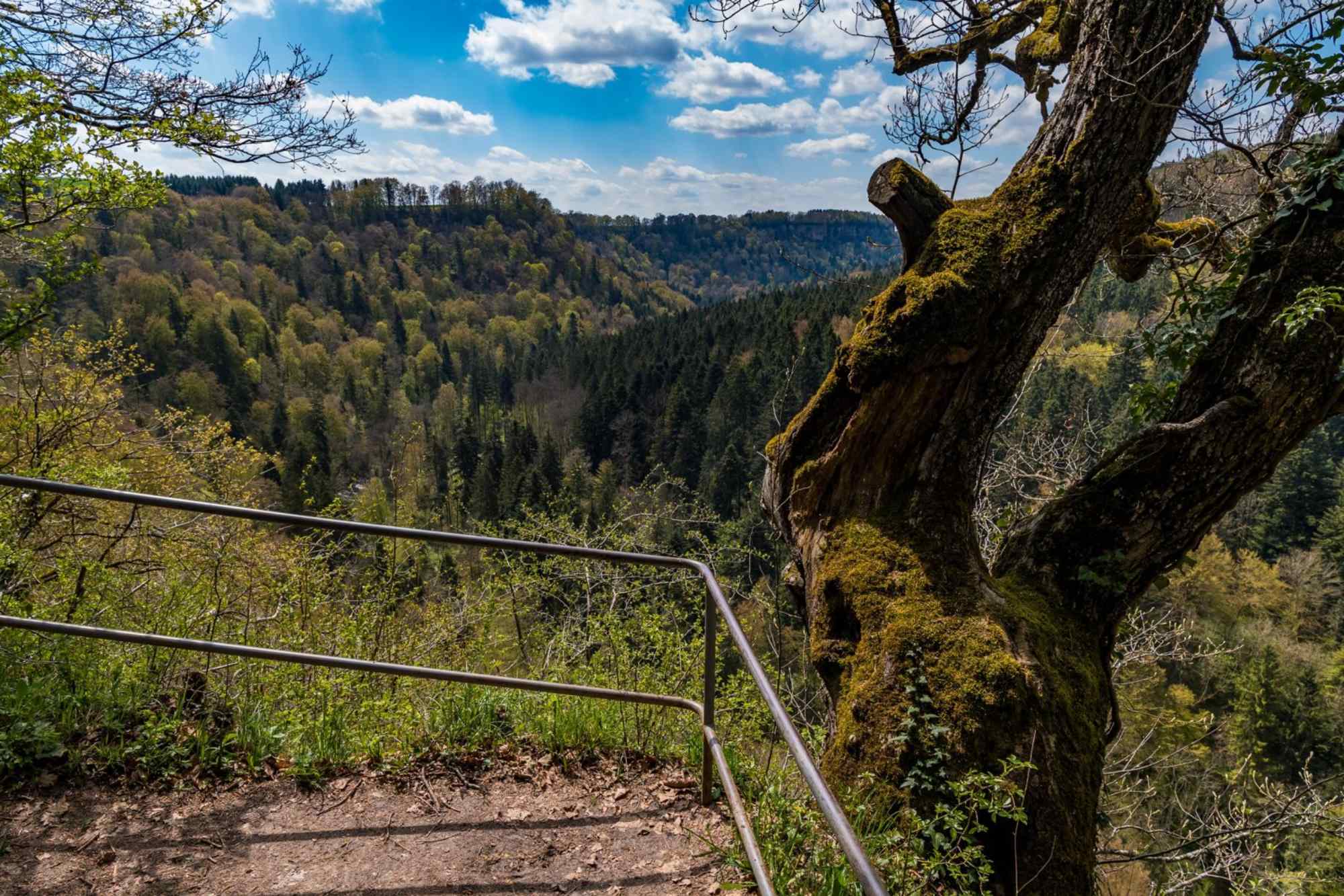 Schluchtensteig