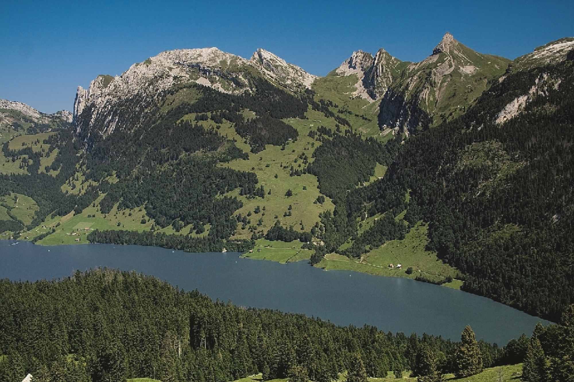 Rossalpelispitz