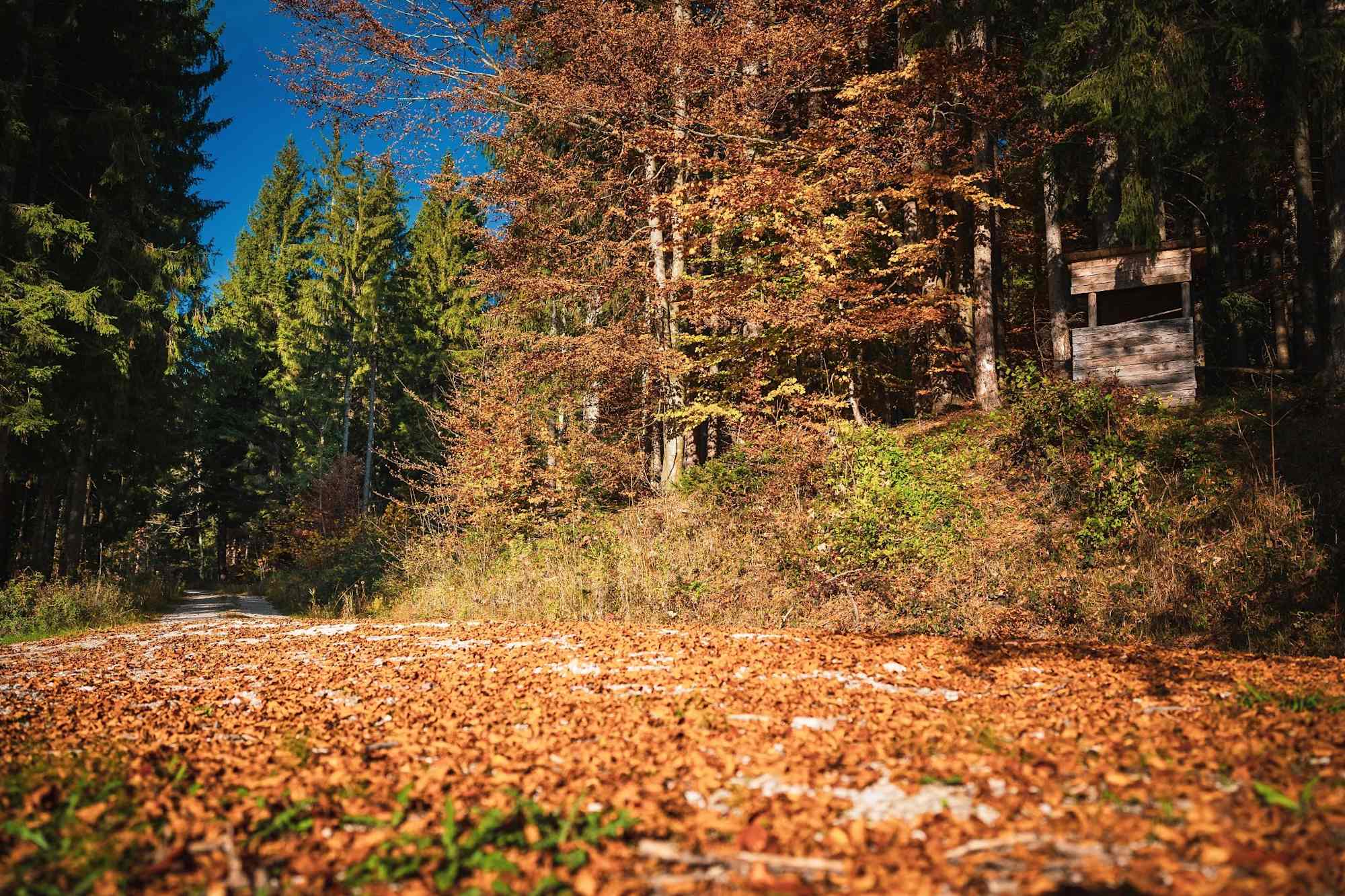 Auch im Herbst ist die Runde um den Zinnkopf sehr schön.