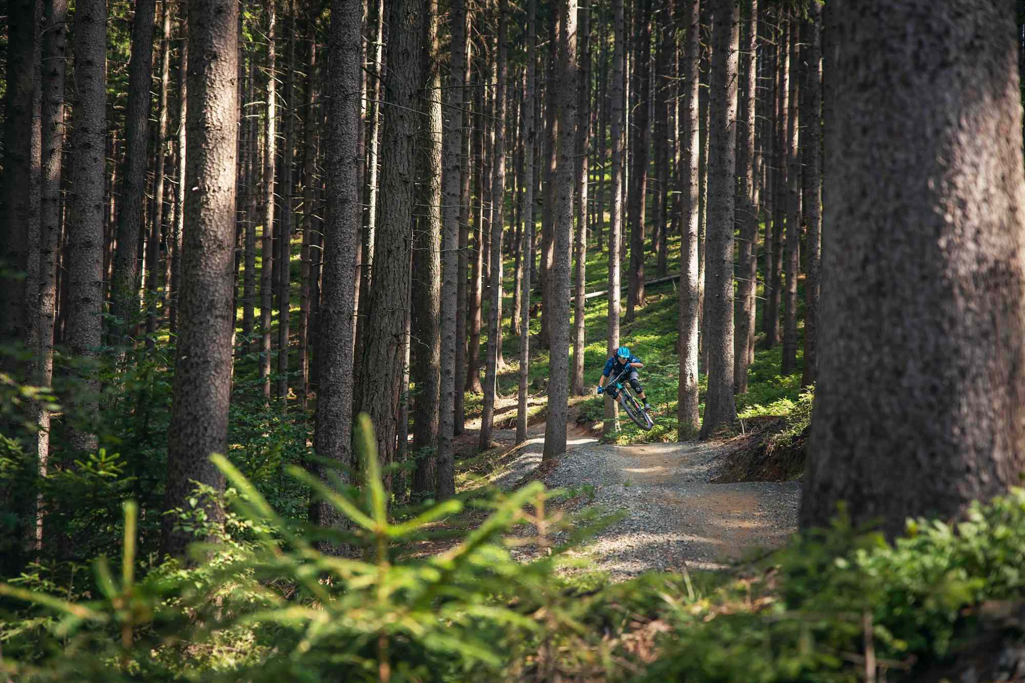 Wers kann der kanns - Waldtrail in der Miriquidi Bike Arena