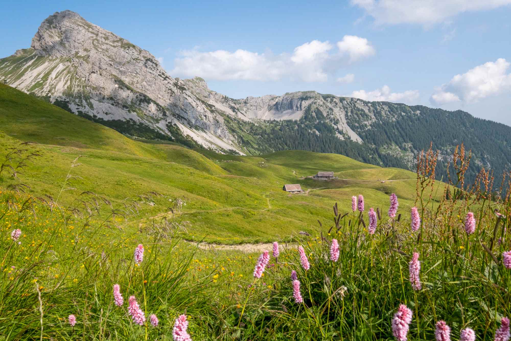 Letzte Etappe am Tell-Trail