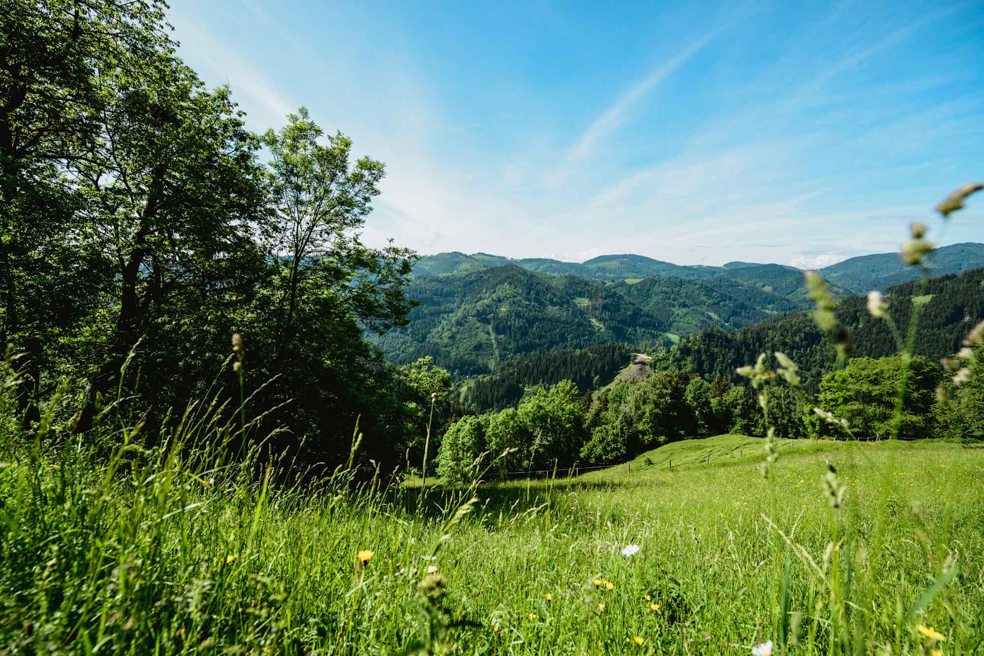 Übelbach, Gleinalm