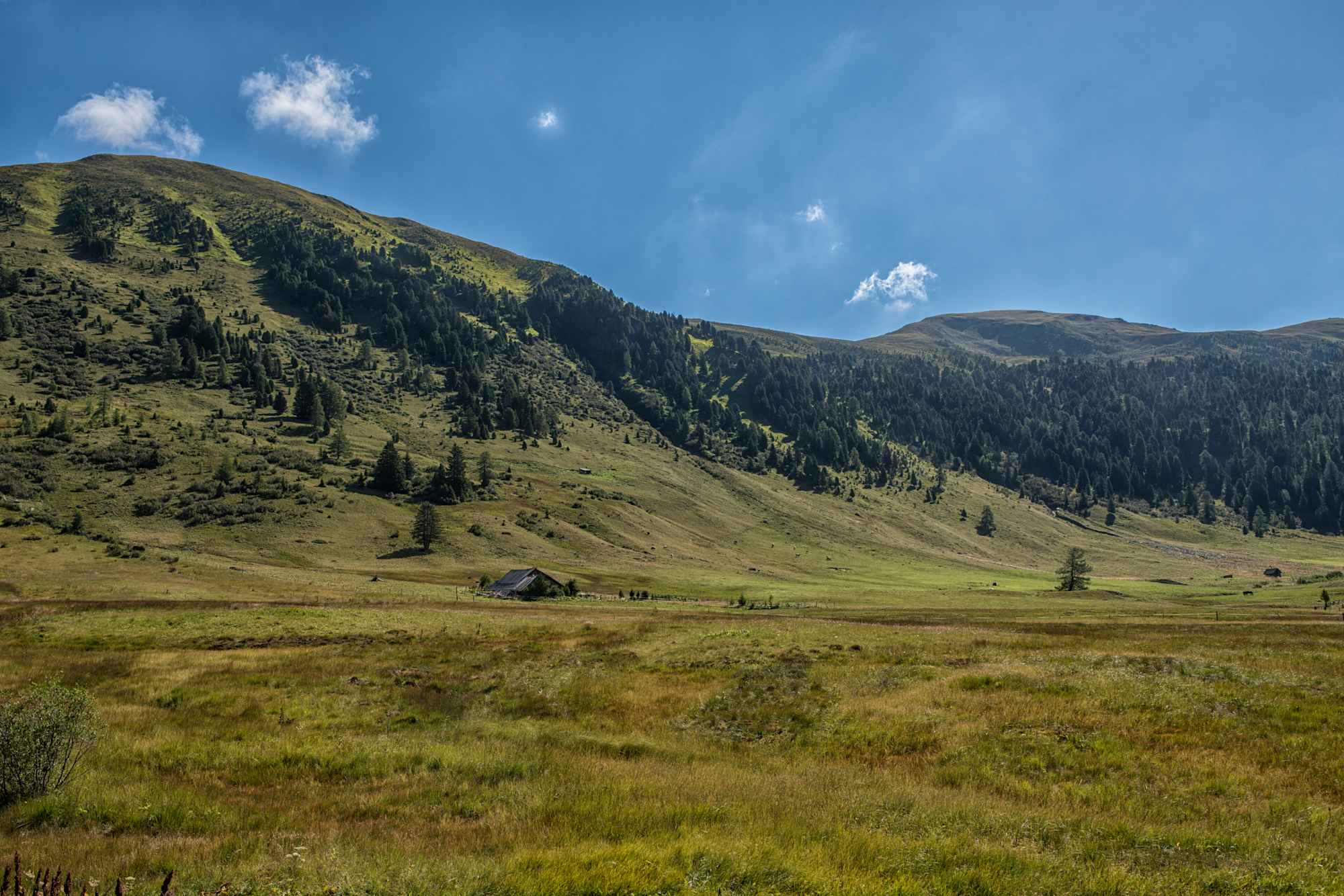 Das Schönfeld – rund um die Josef-Mehrl-Hütte
