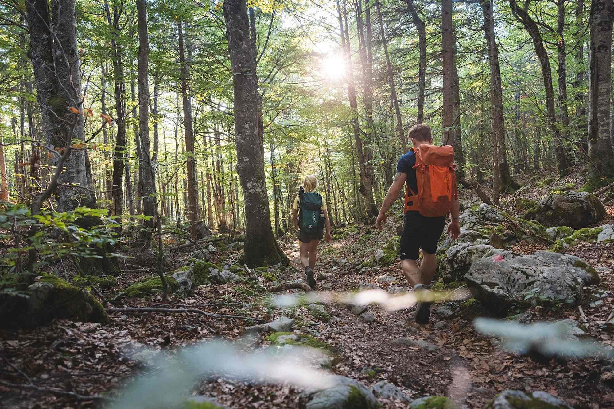 Kaiserkrone, Etappe 2, Abstieg im Wald