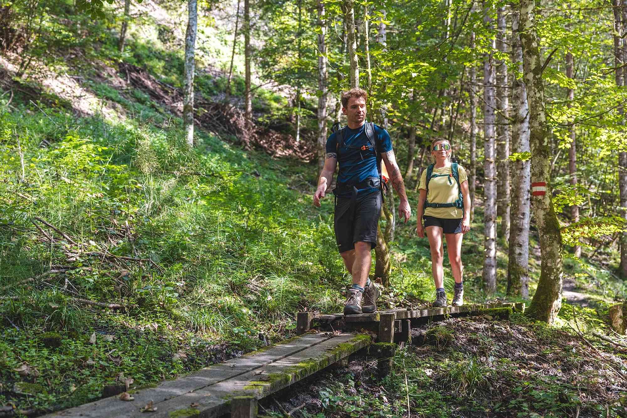 Kaiserkrone, Etappe 4, angenehm schattig durch den Wald