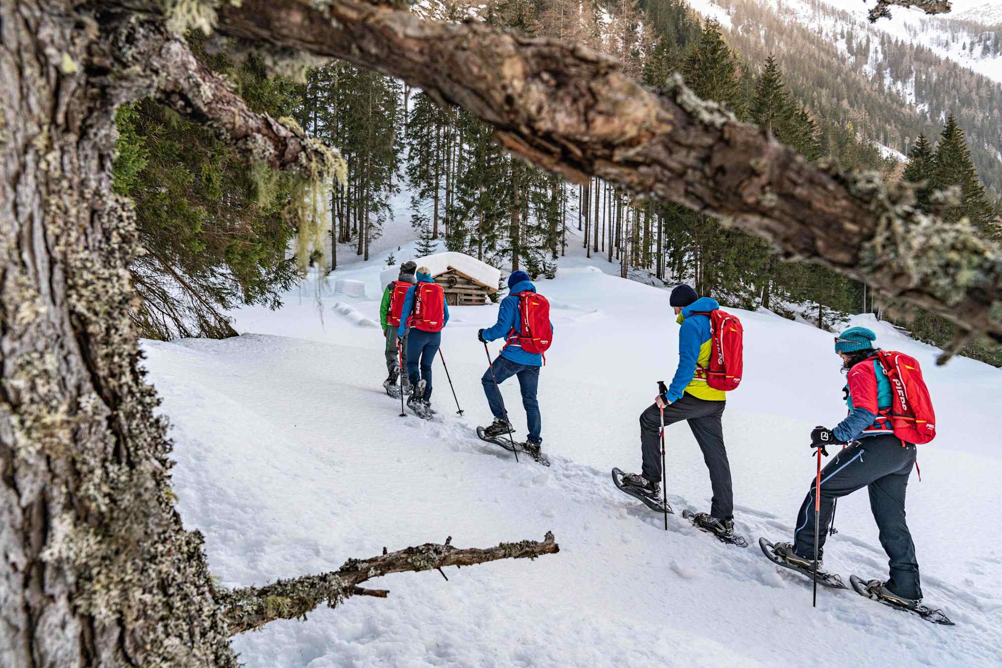 Schneeschuhwandern auf der Jamnigalm bei Mallnitz
