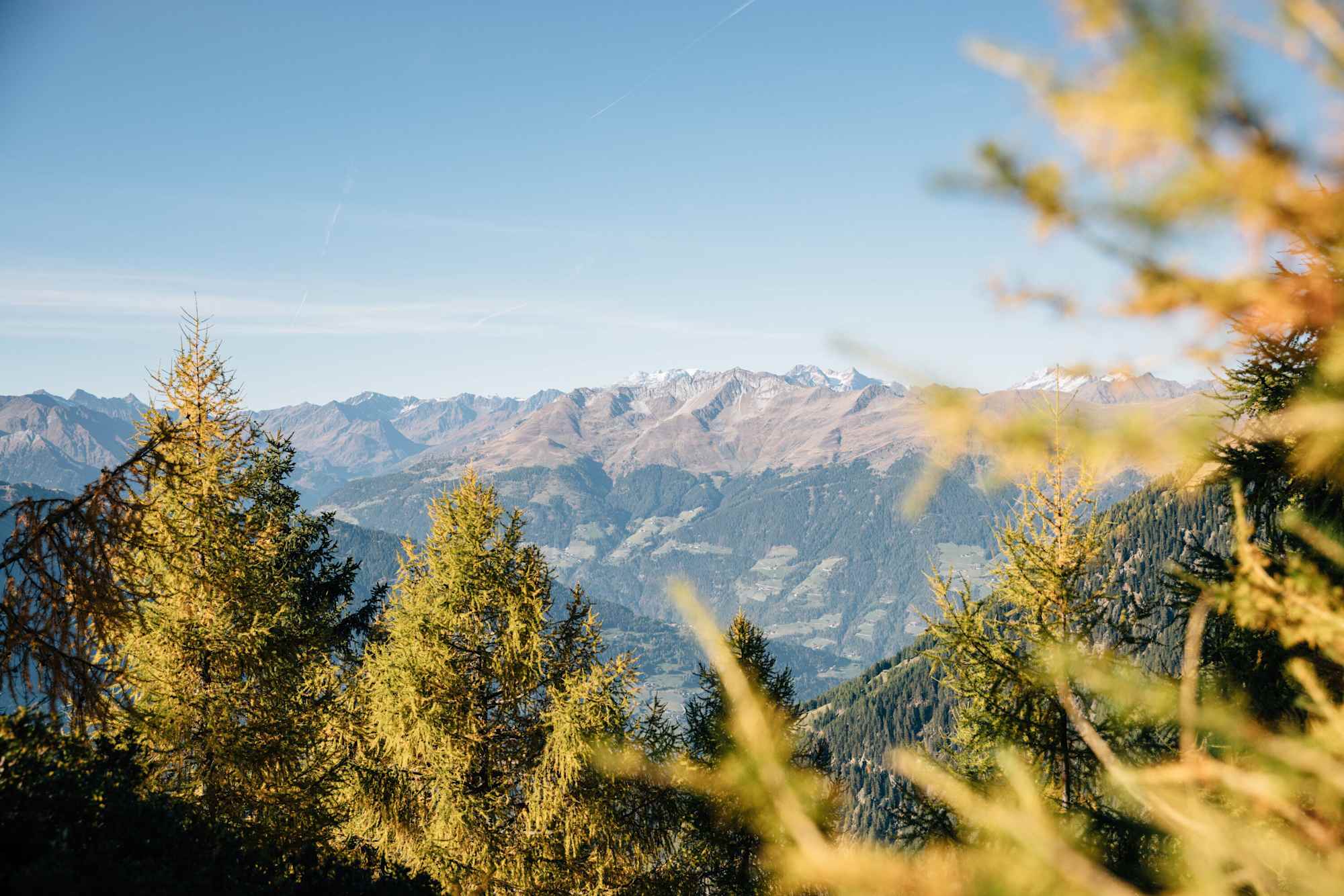 Rifflspitze im Passeiertal