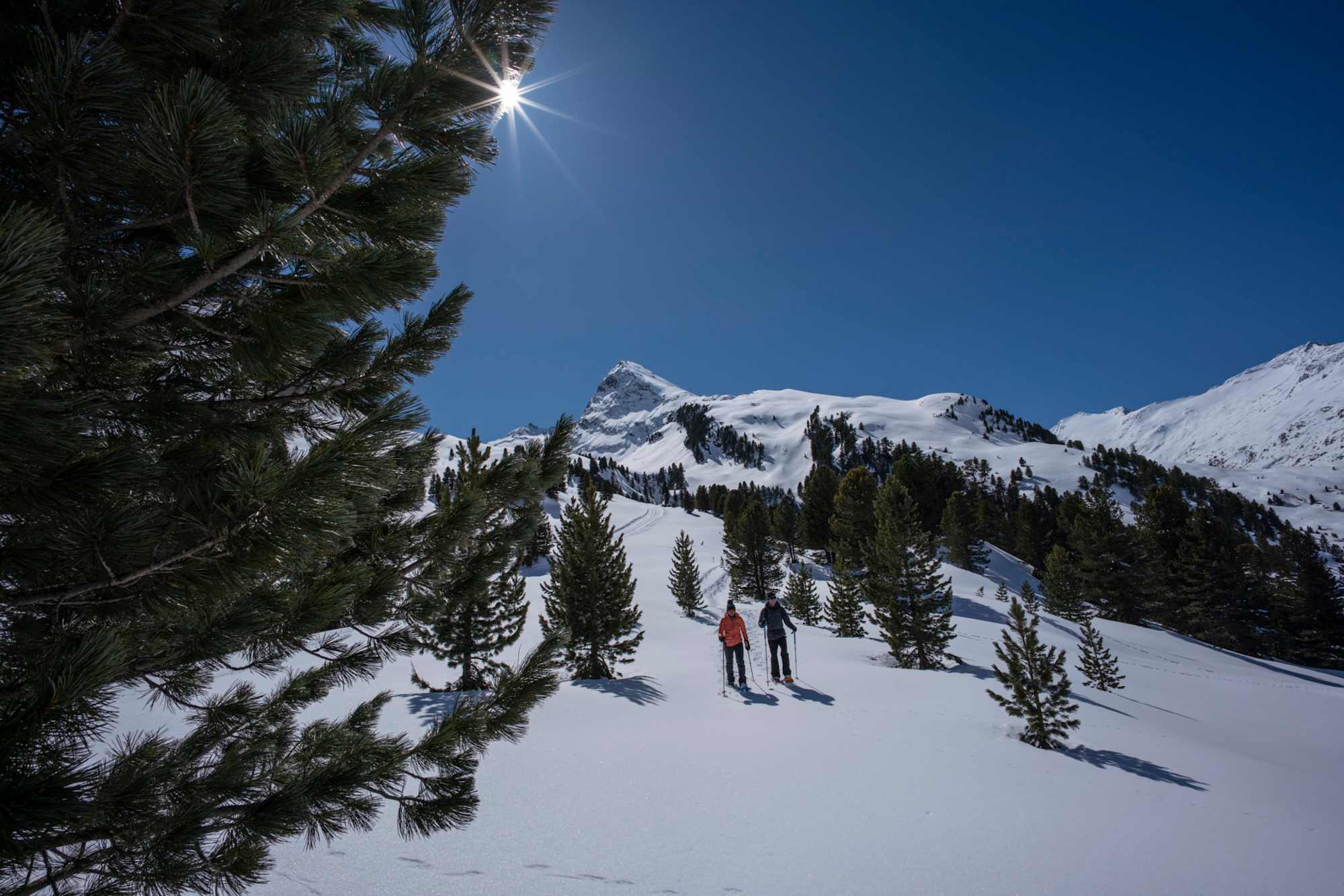Am Schneeschuhtrail Zirbenwald in Hochgurgl
