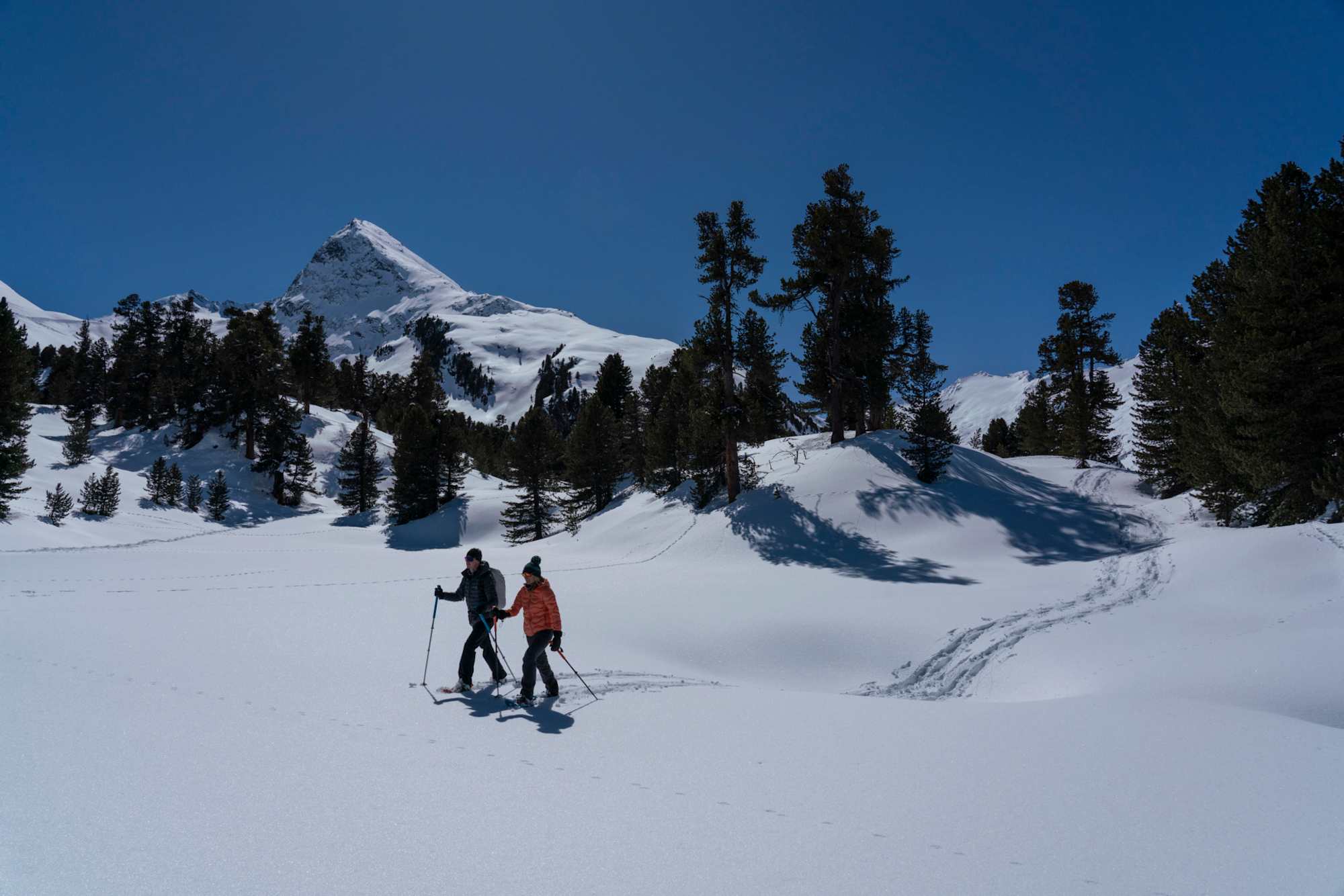 Am Schneeschuhtrail Zirbenwald in Hochgurgl