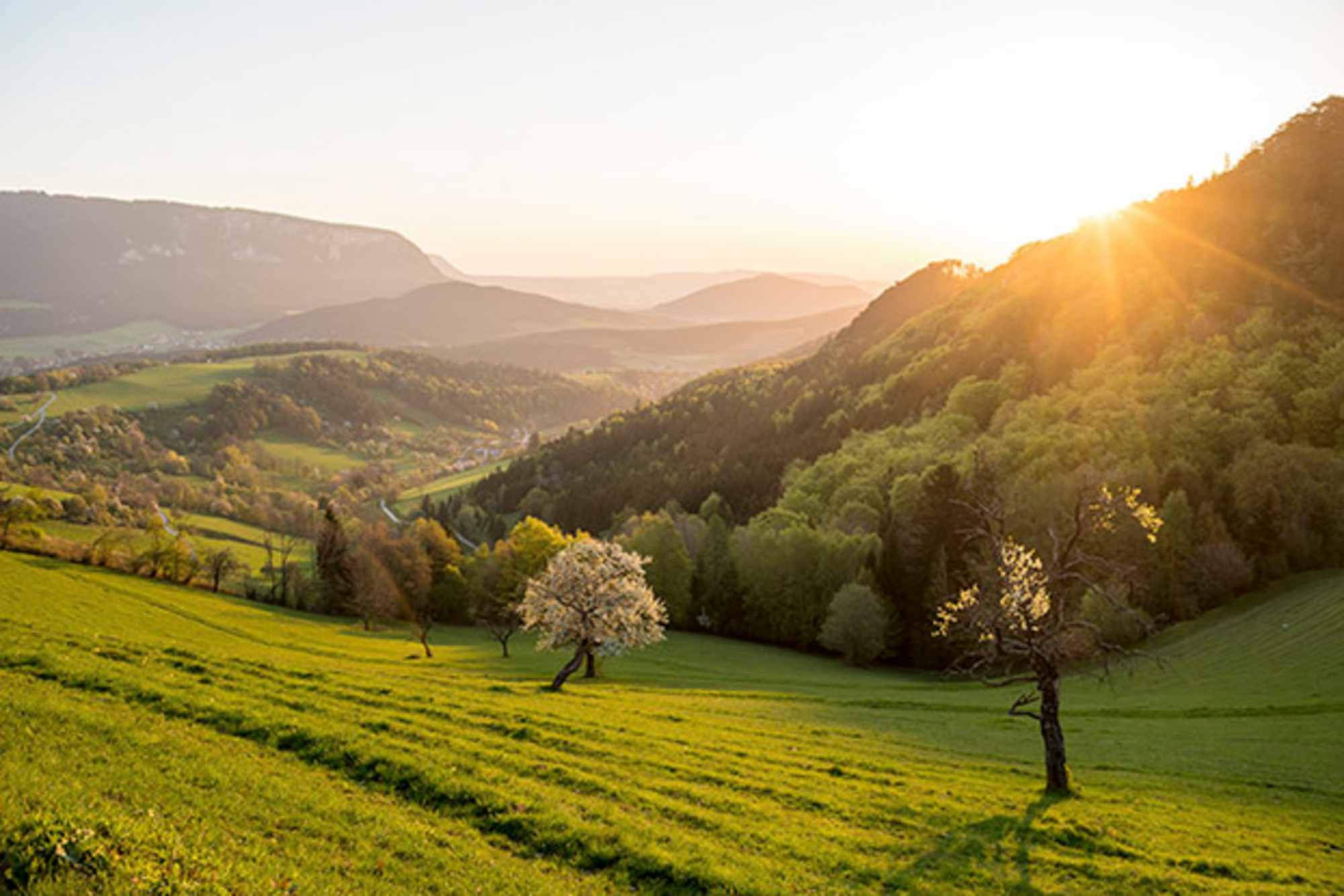 Am Puchberg