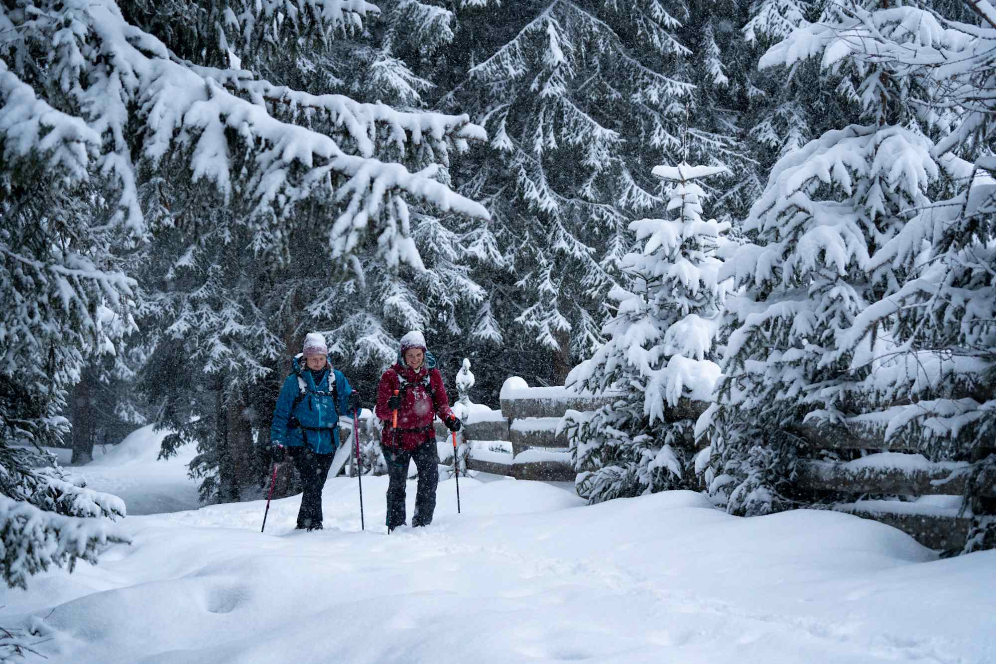 Winterwanderung zur Wurzbergalm im Ötztal