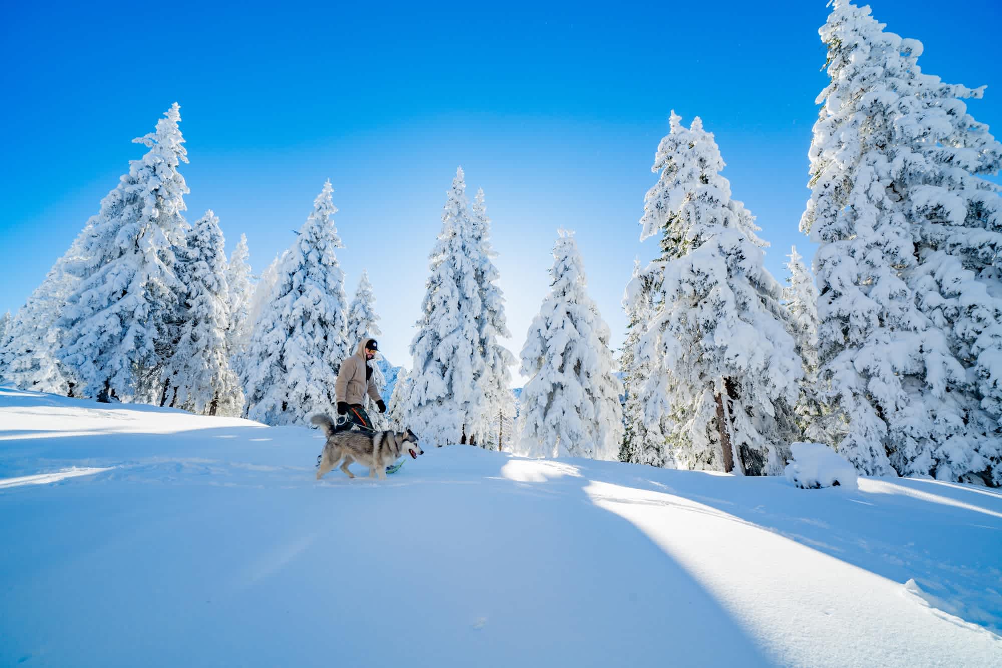 Mit Schneeschuhen und Husky in der Winterlandschaft auf der Egger Alm unterwegs.