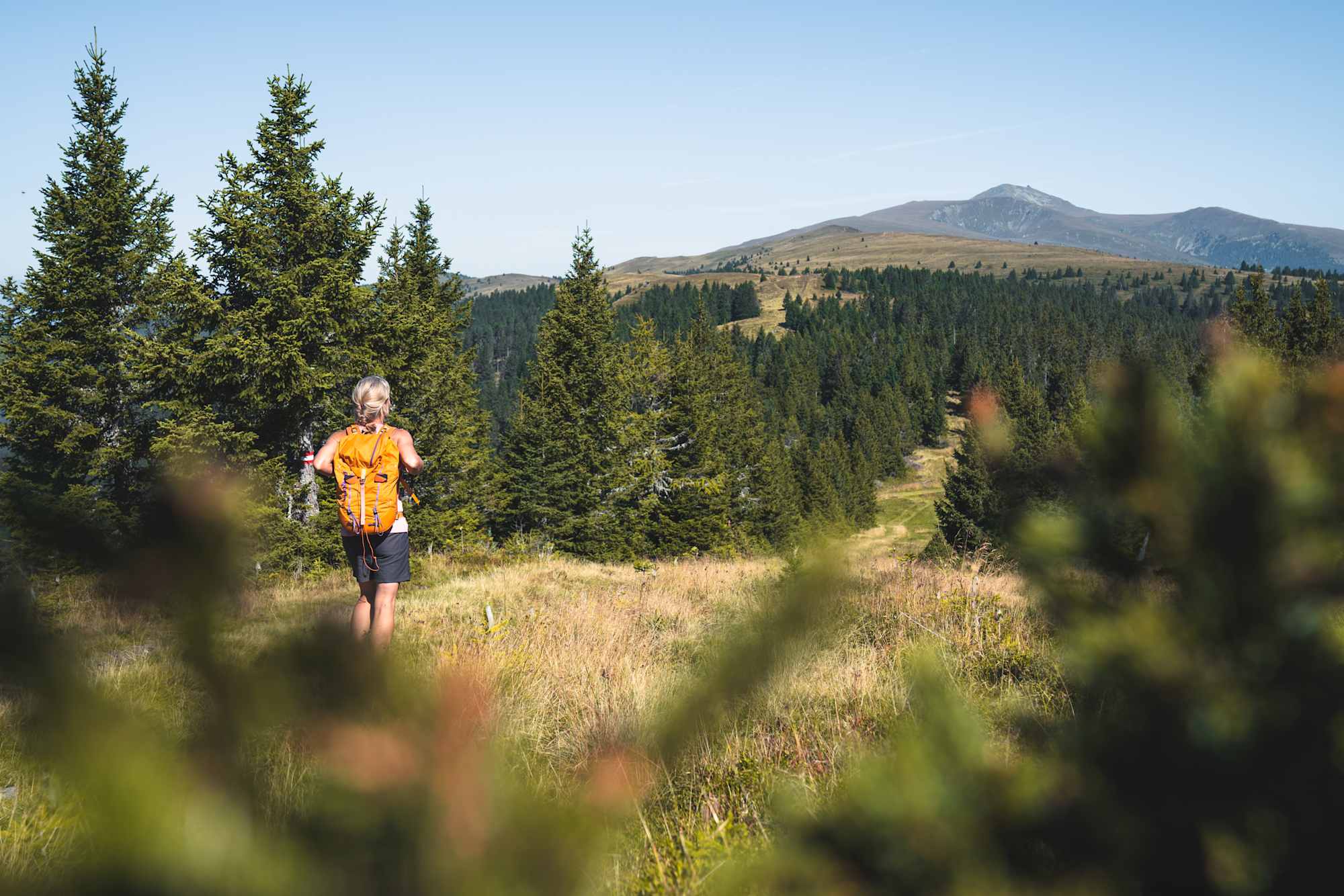 Wanderung am Klippitztörl