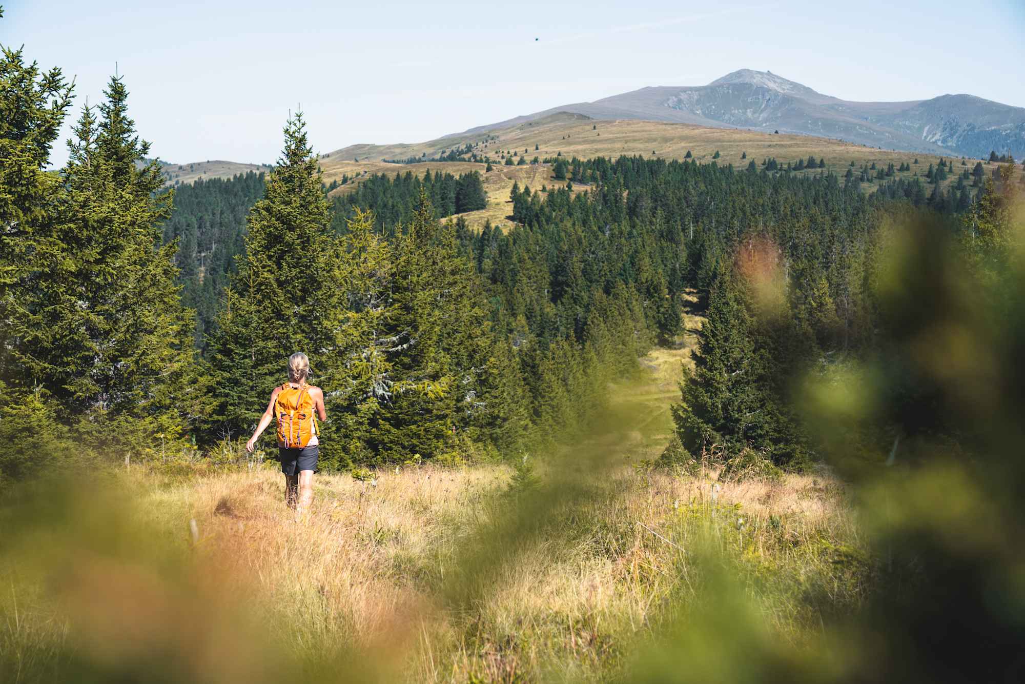 Wanderung am Klippitztörl