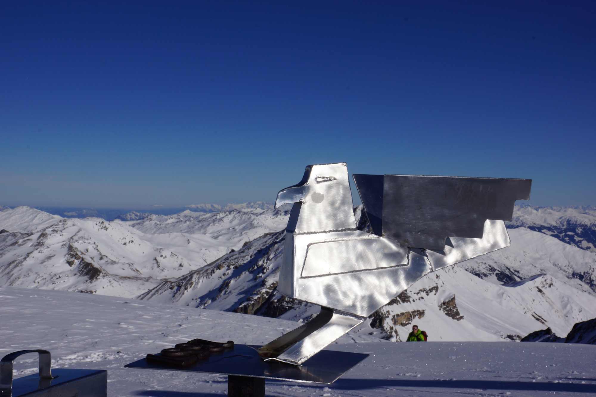 Am Gipfel des Geier steht eine Geier