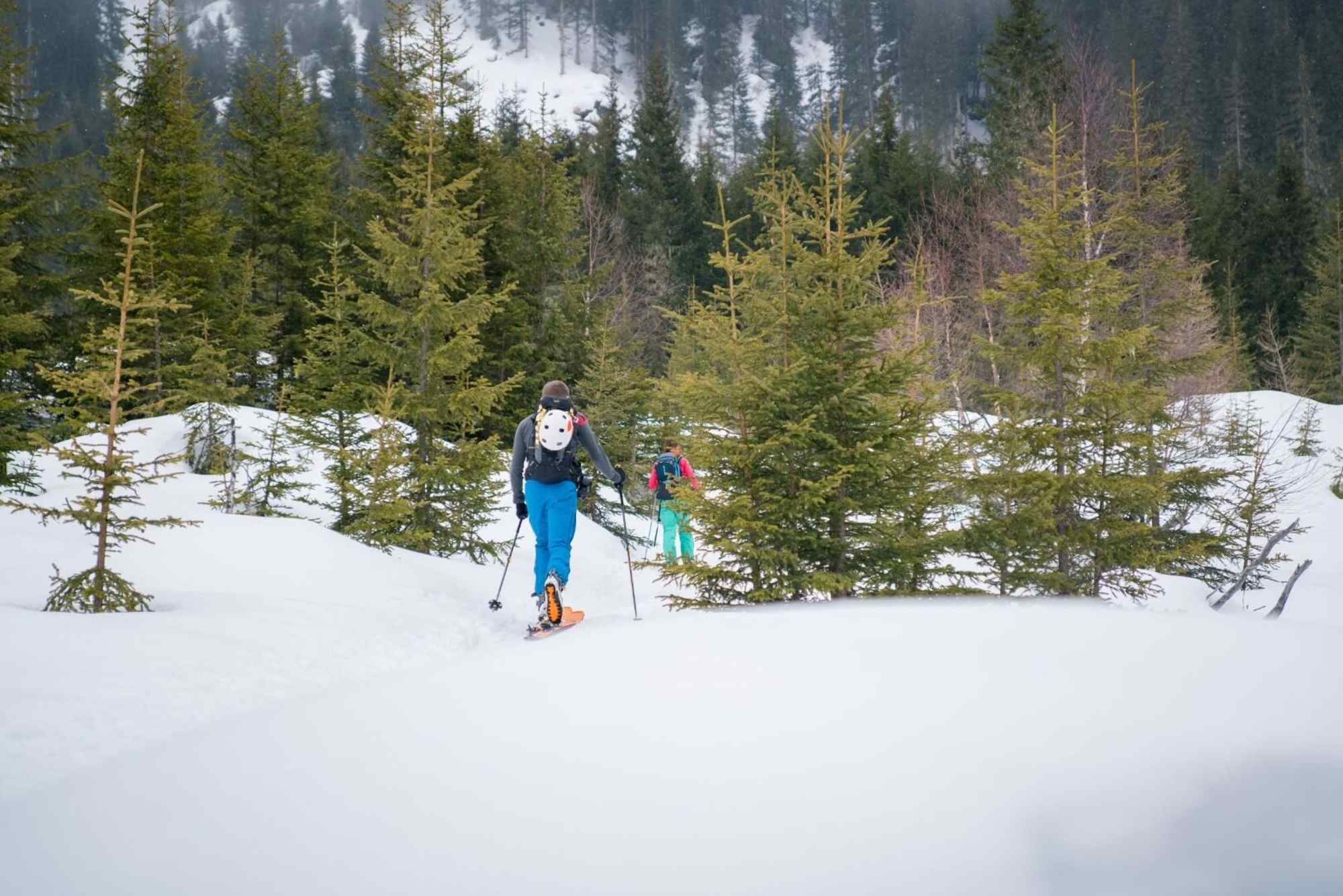 Auf dem Weg zur Jungeralm