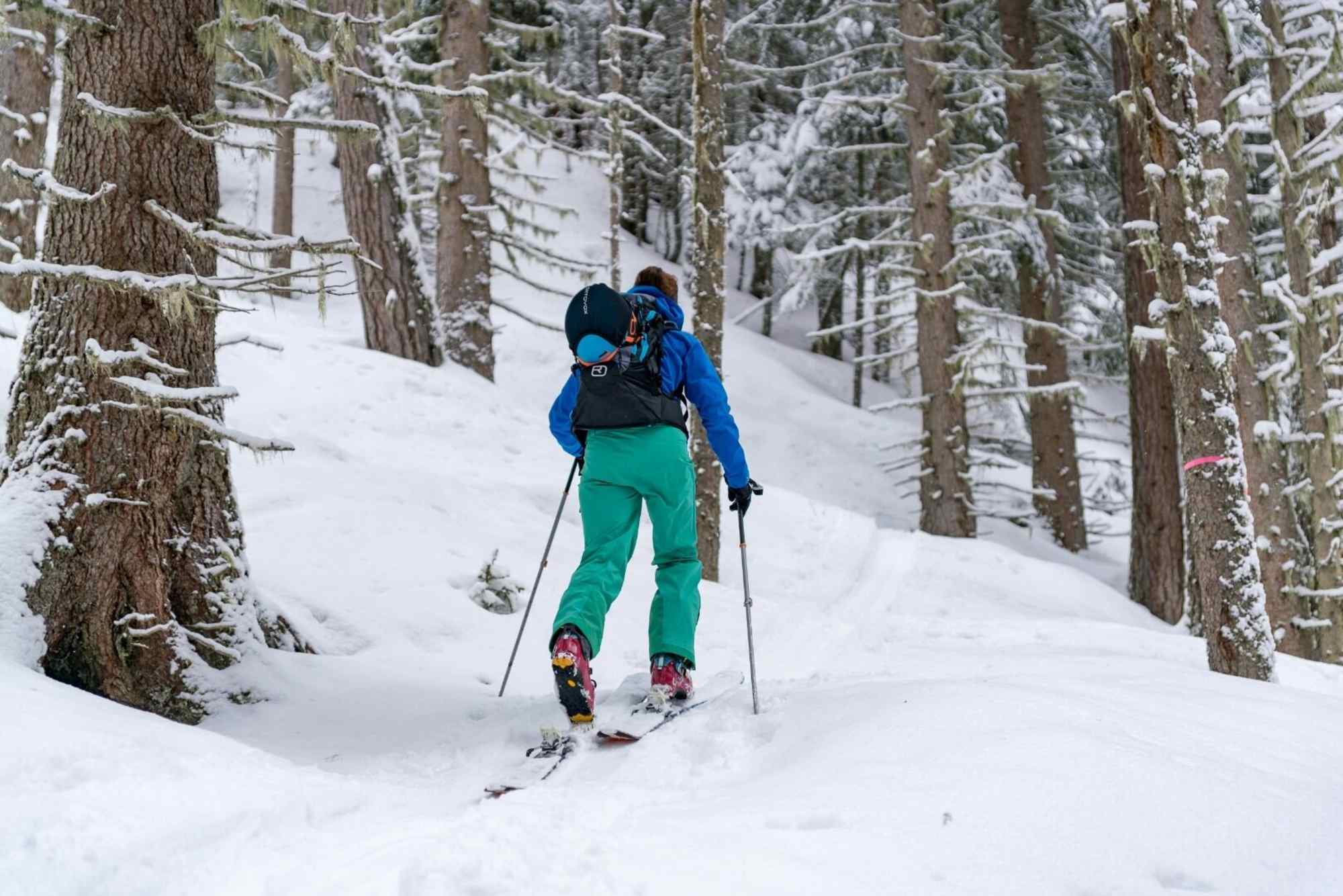 Durch den Wald geht es hinauf zur Stubneralm