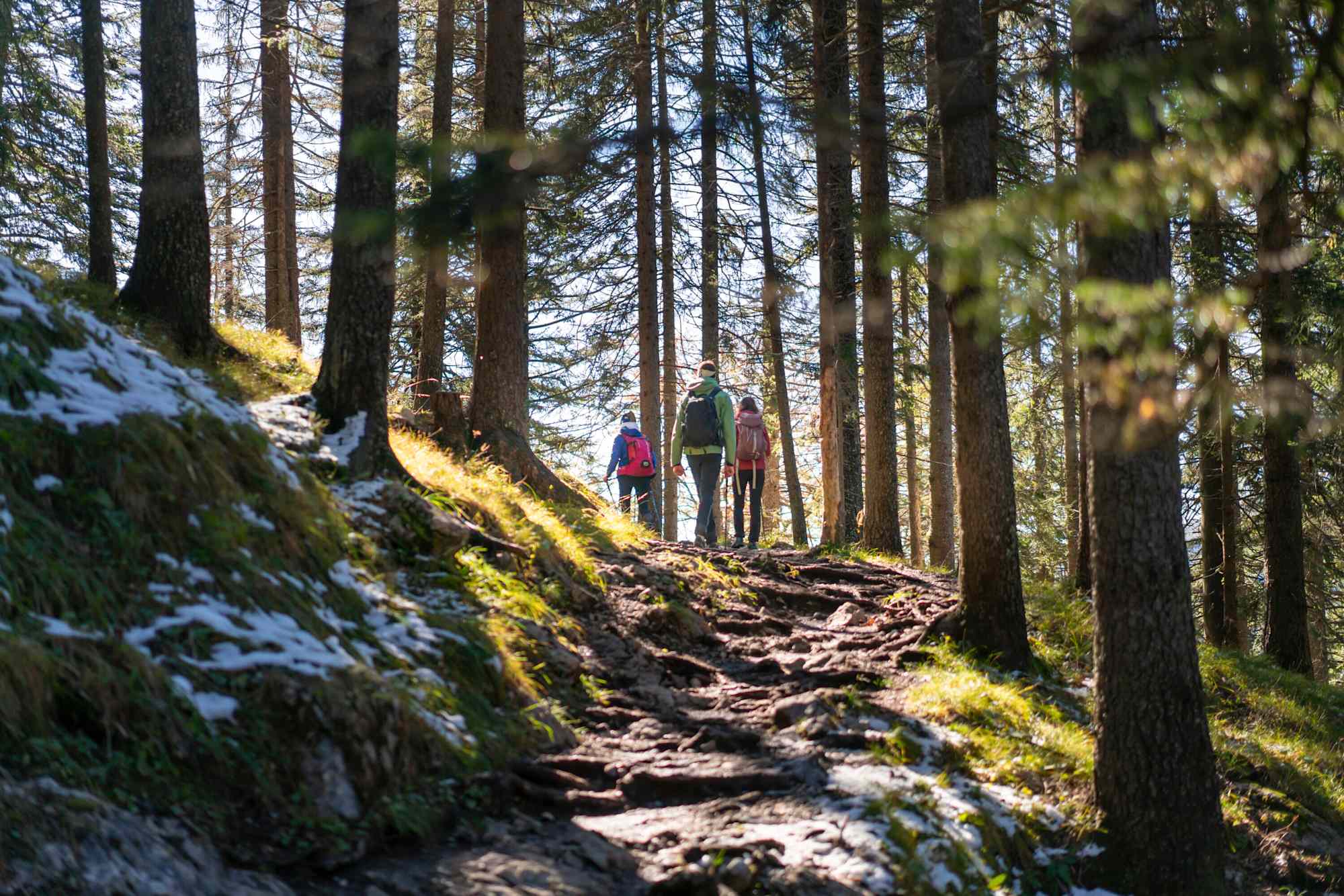 Aufstieg zur Brunnsteinhütte