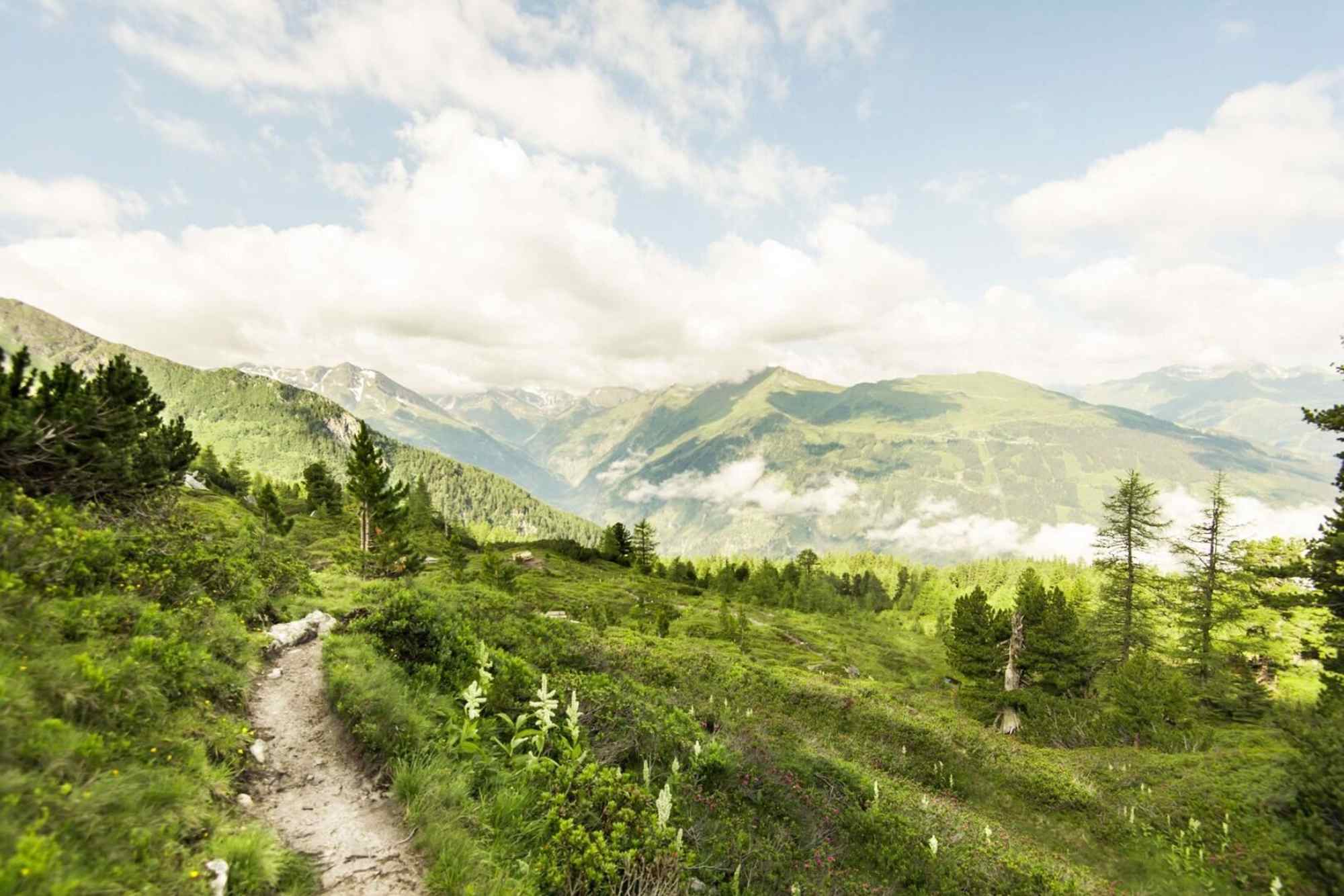 Wandern am Graukogel