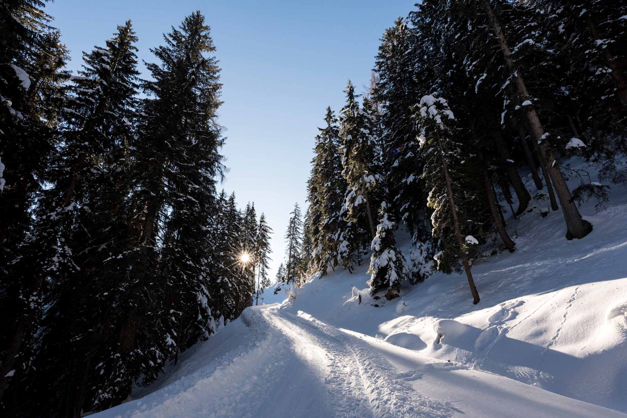 Auf dem Winterwanderweg bei Wergenstein