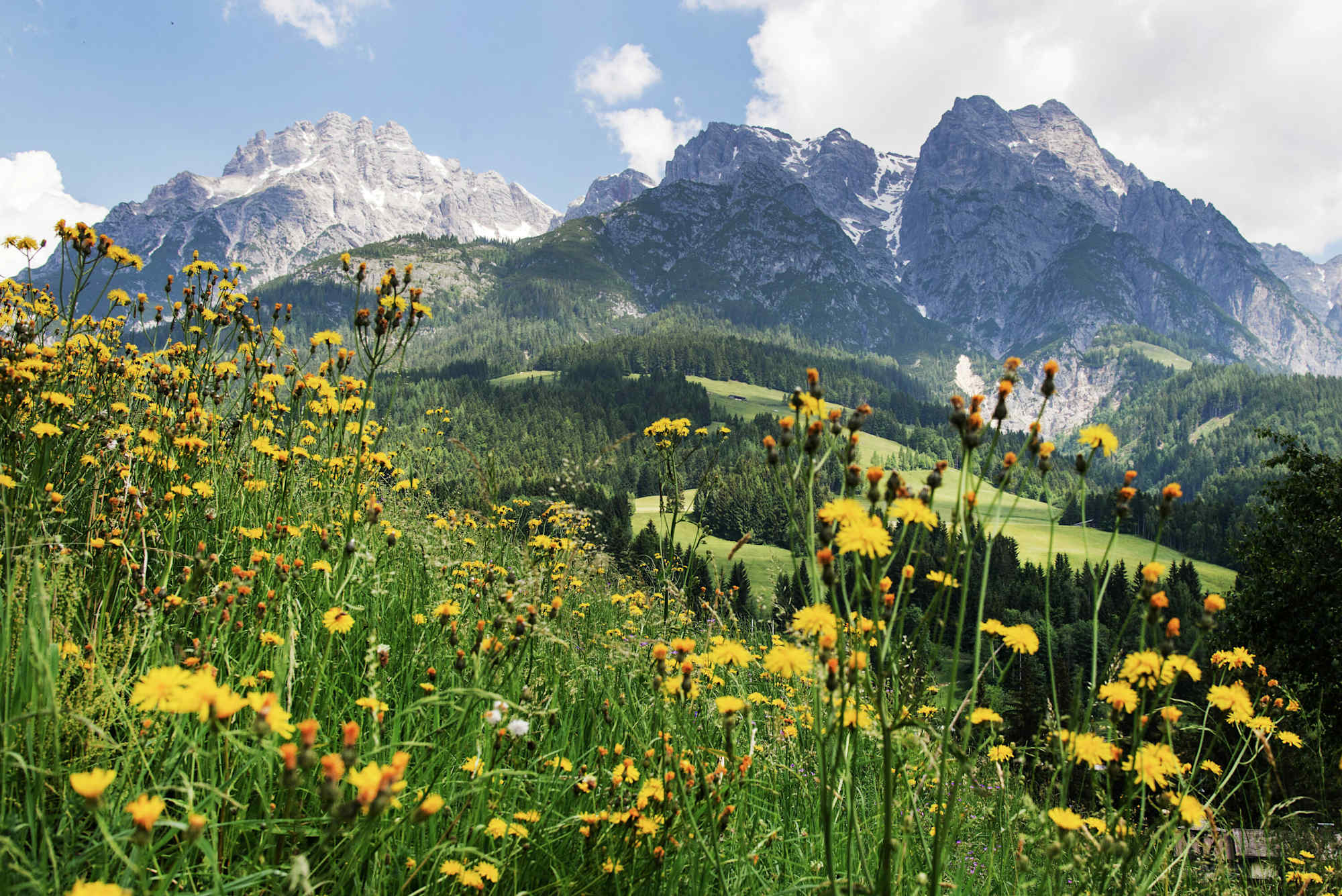 Leogang Salzburg