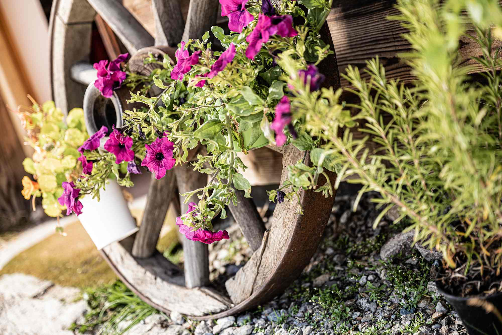 Blumendeko auf der Kloster Alm