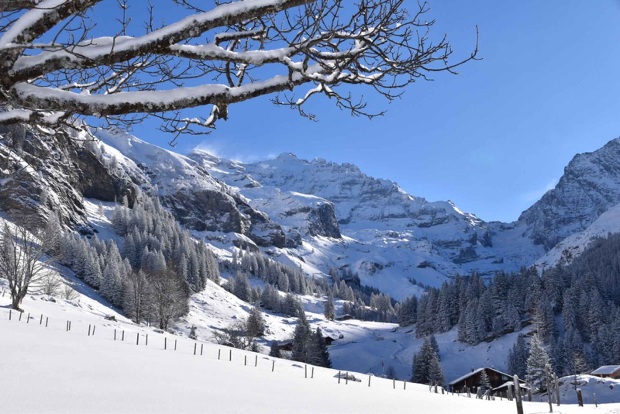 Ausblick vom Haus