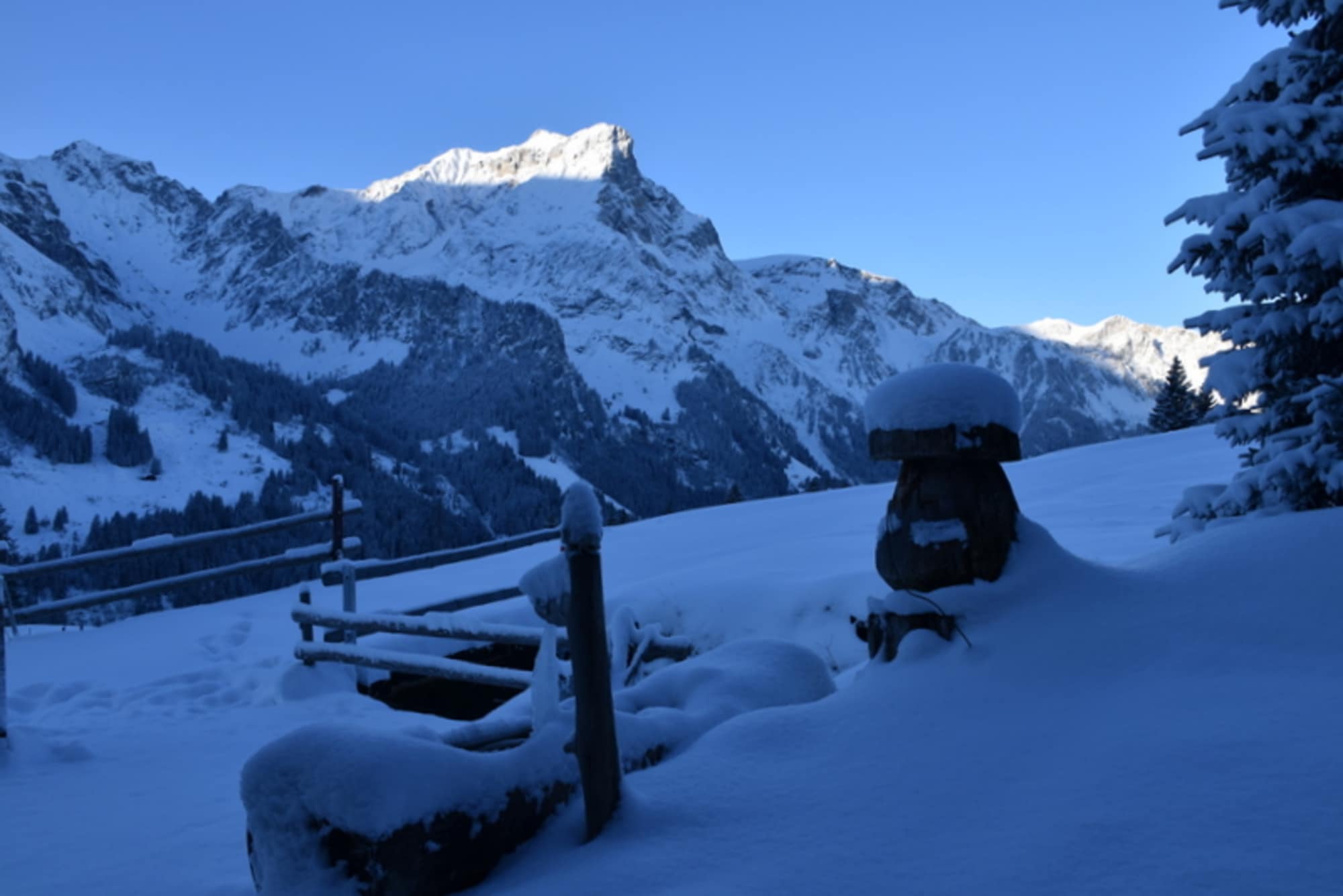 Um das winterliche Haus